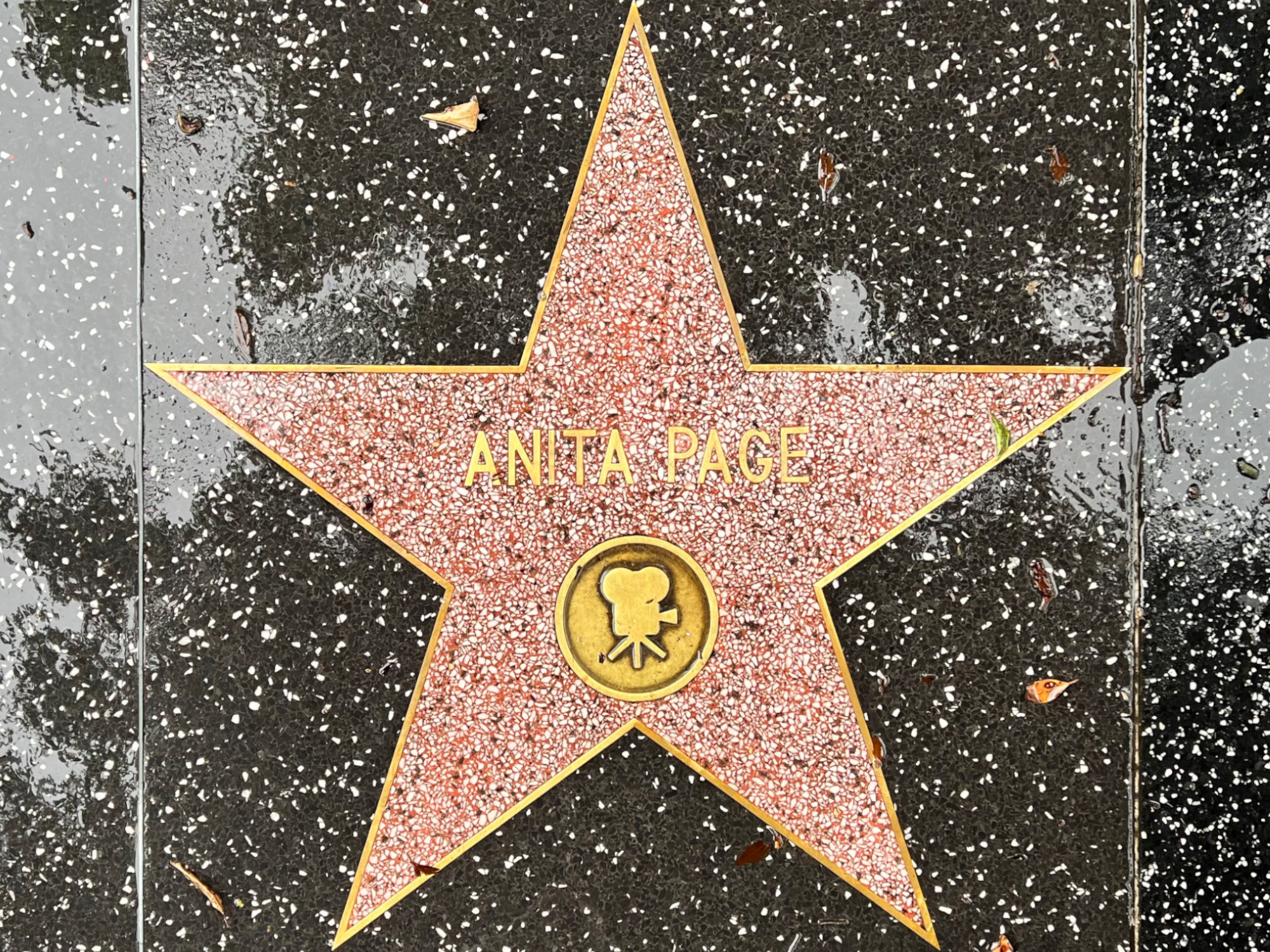 Hollywood Walk of Fame