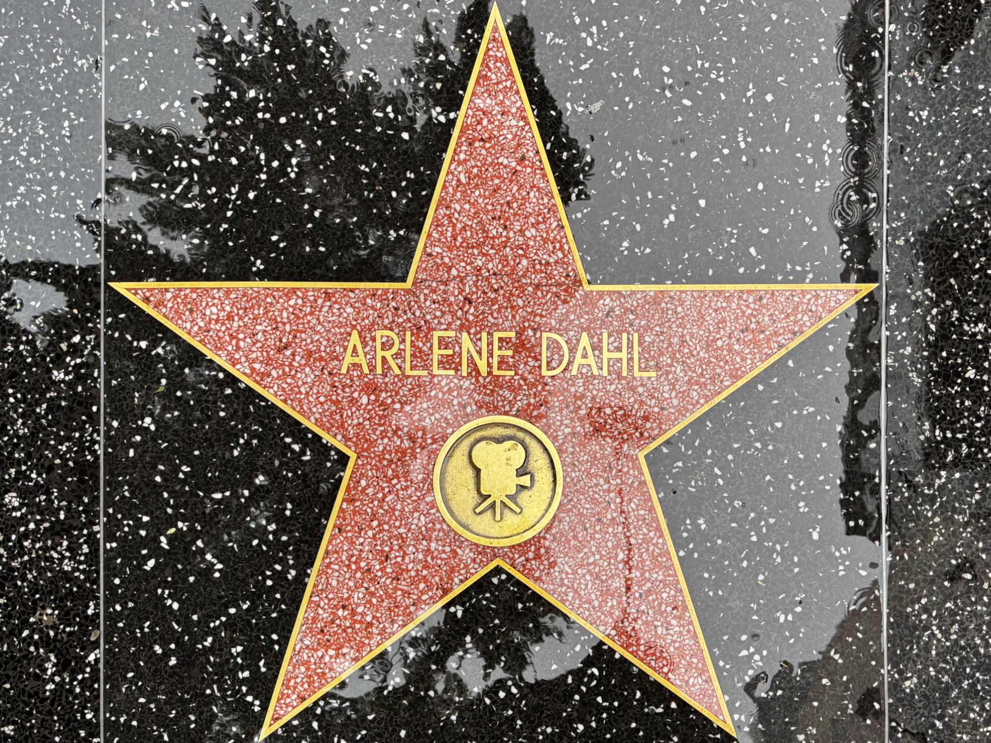 Hollywood Walk of Fame Hollywood Walk of Fame