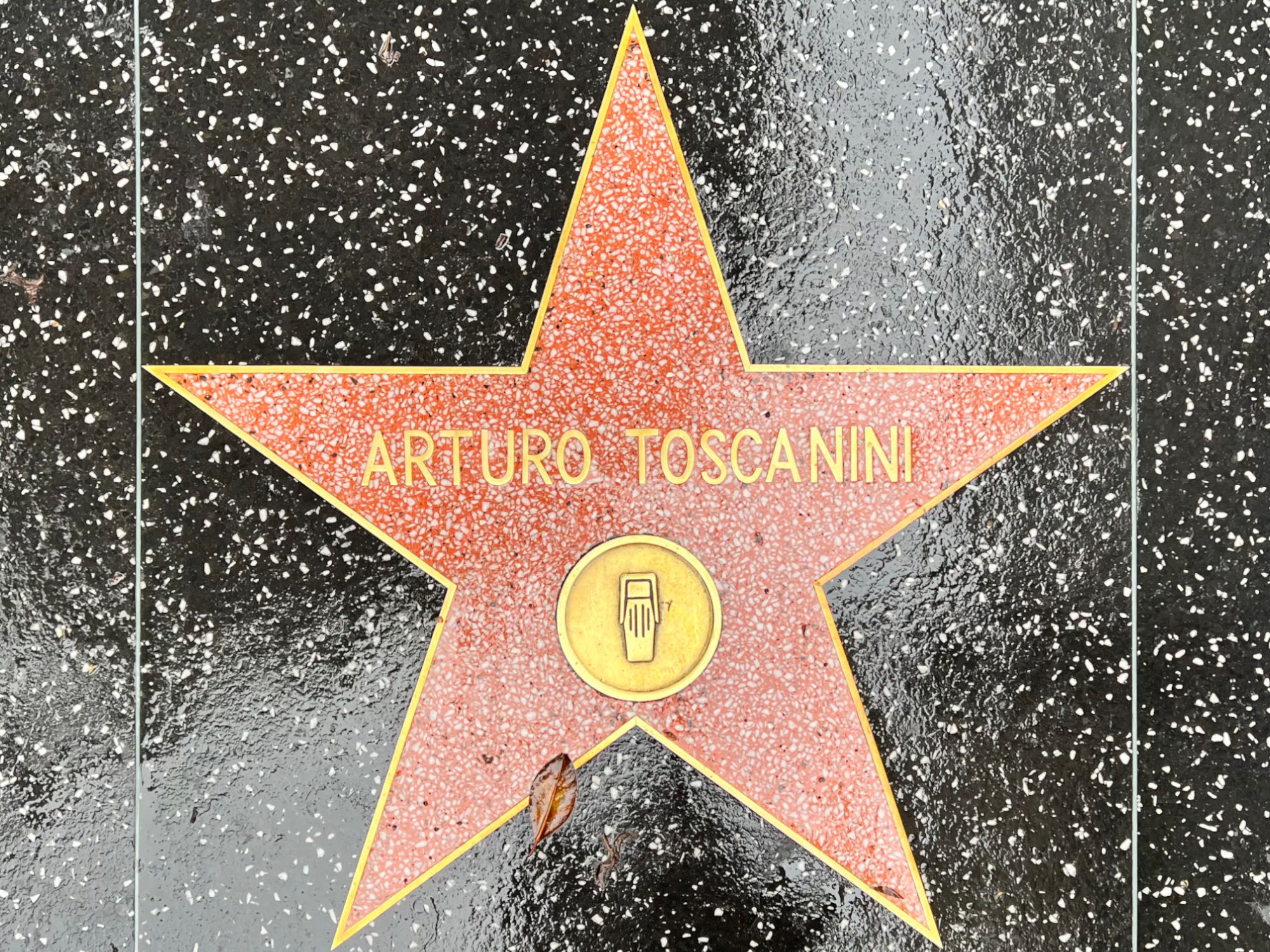 Hollywood Walk of Fame