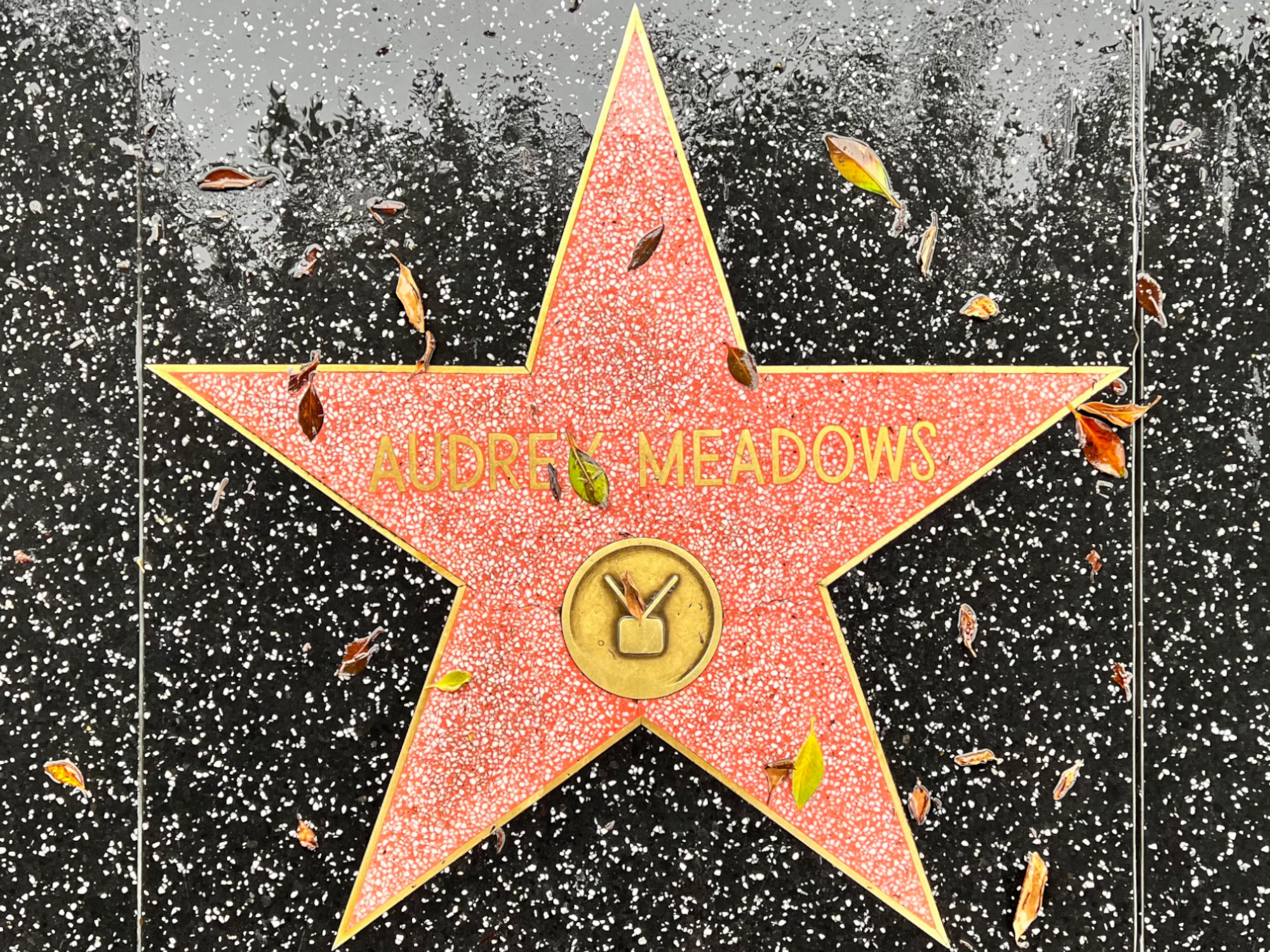 Hollywood Walk of Fame