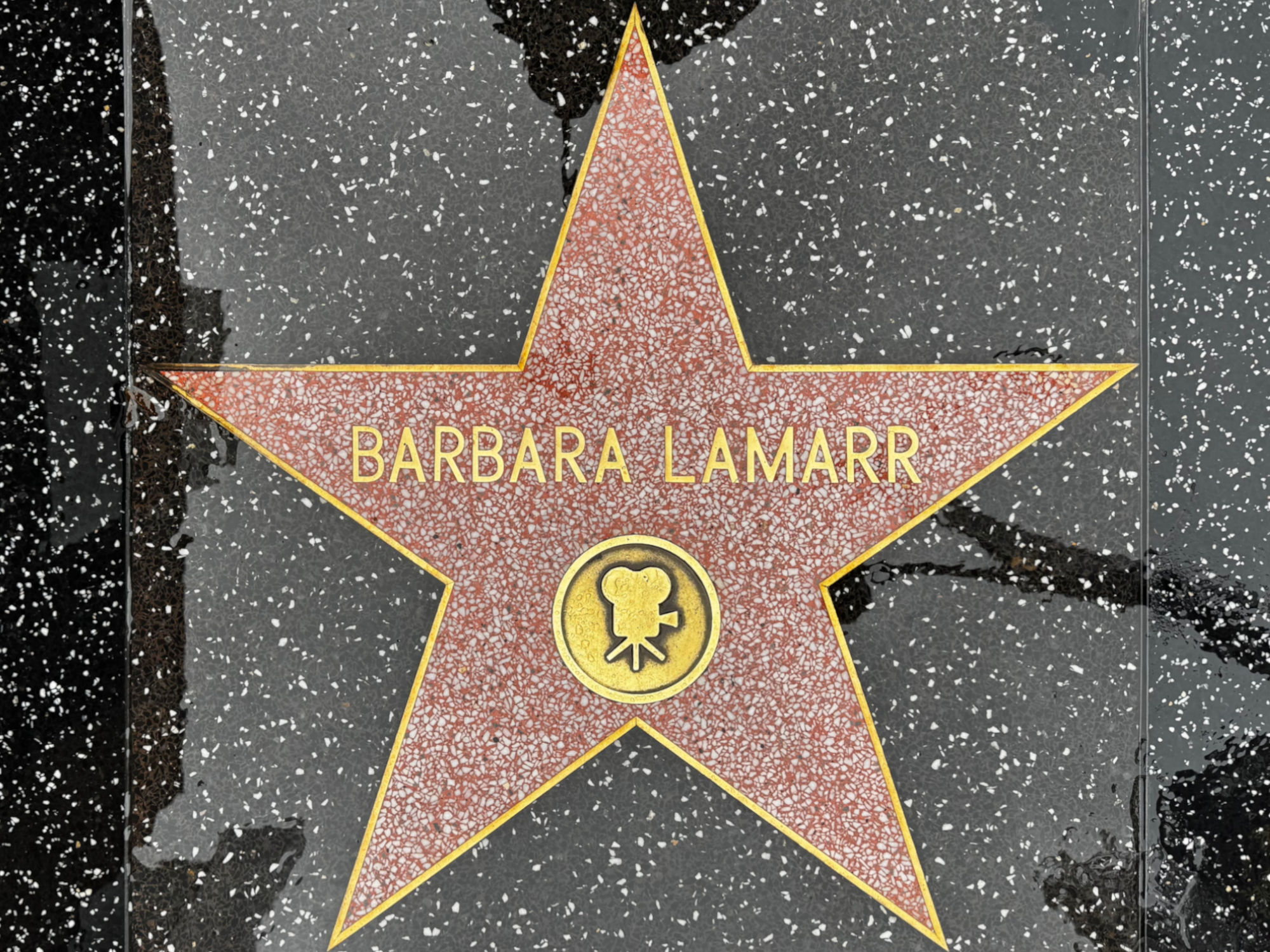 Hollywood Walk of Fame Hollywood Walk of Fame