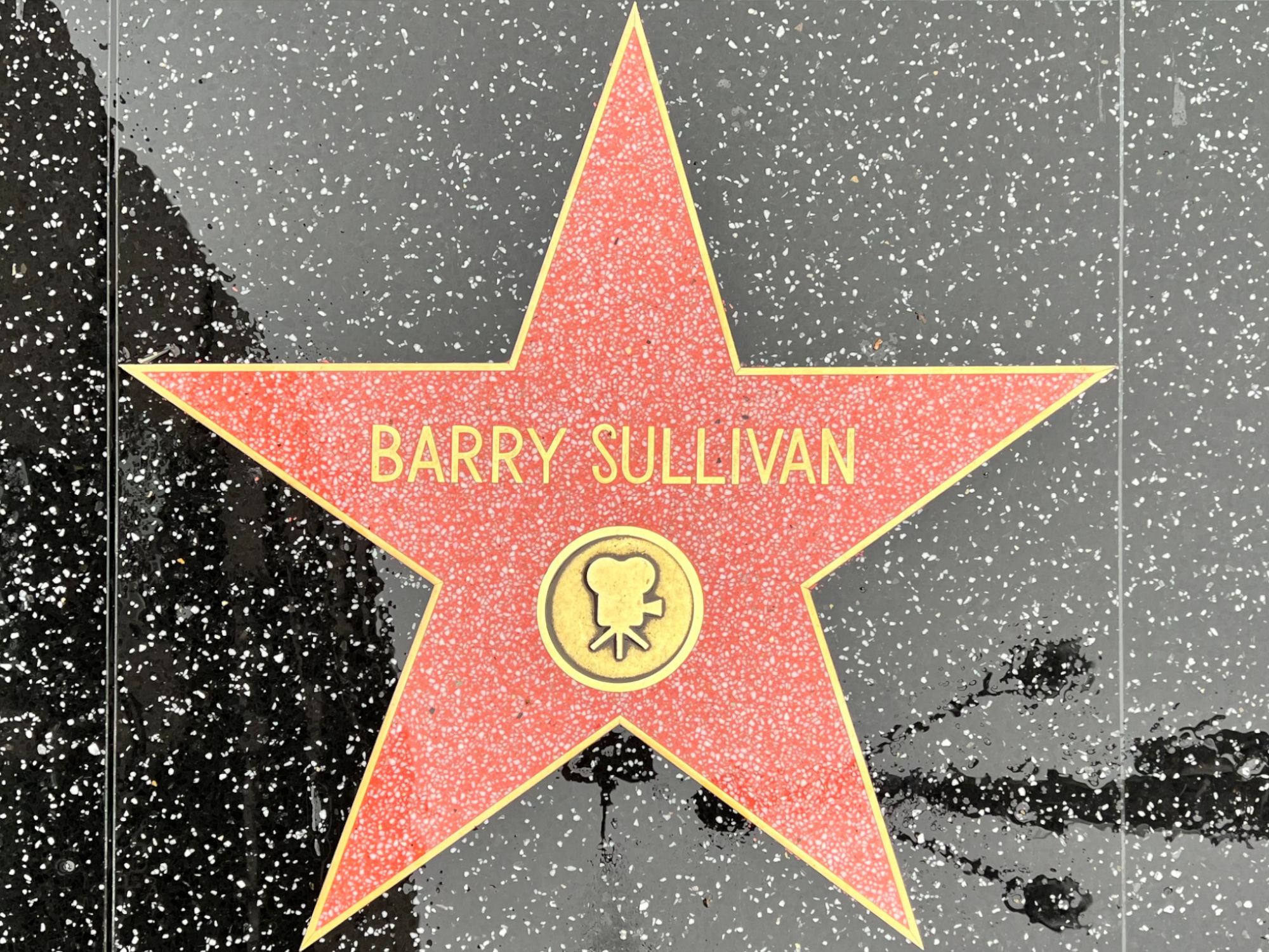 Hollywood Walk of Fame