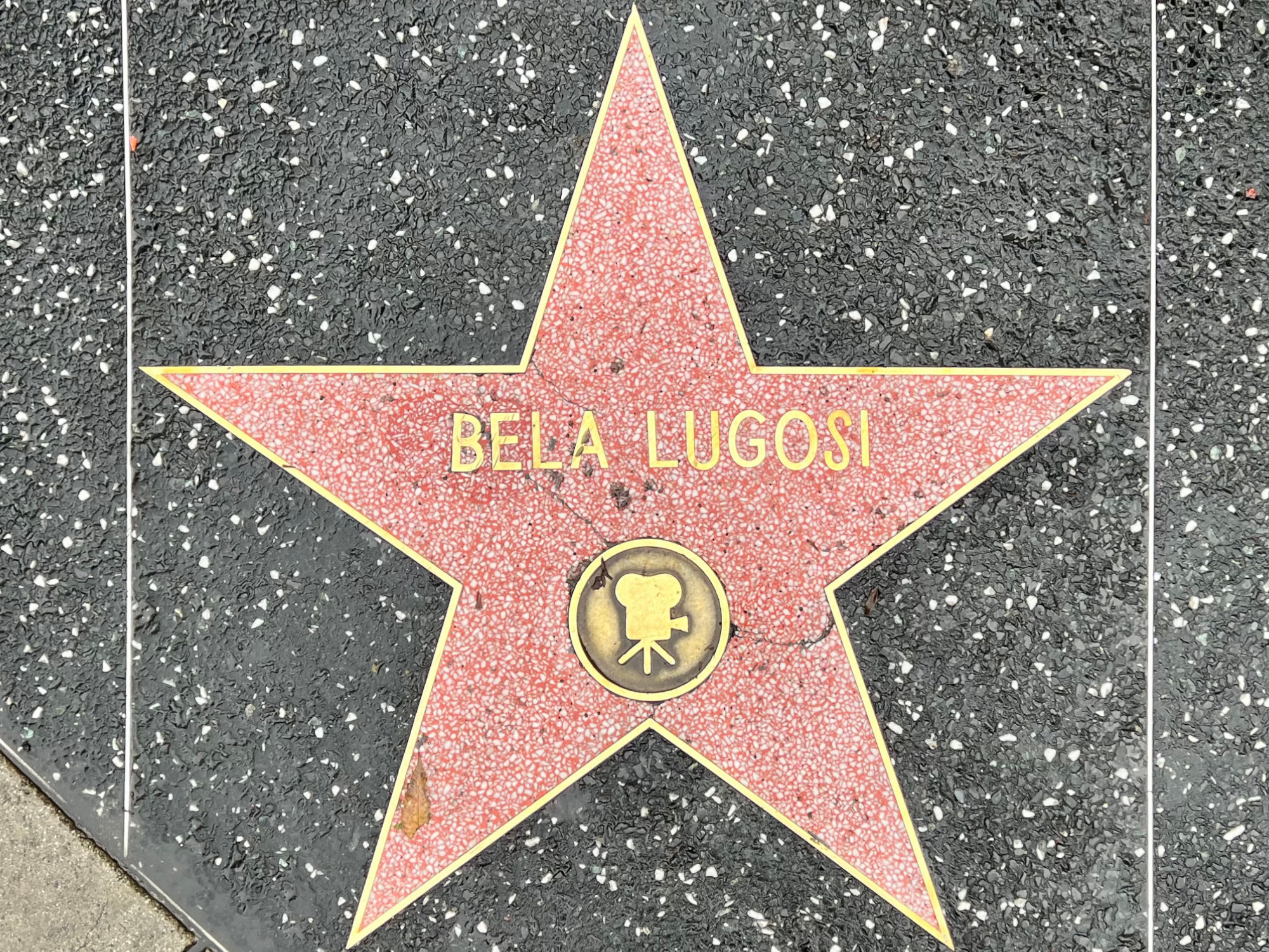 Hollywood Walk of Fame