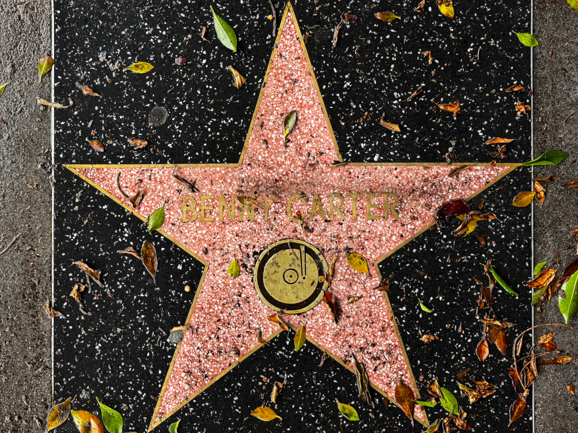 Hollywood Walk of Fame Hollywood Walk of Fame