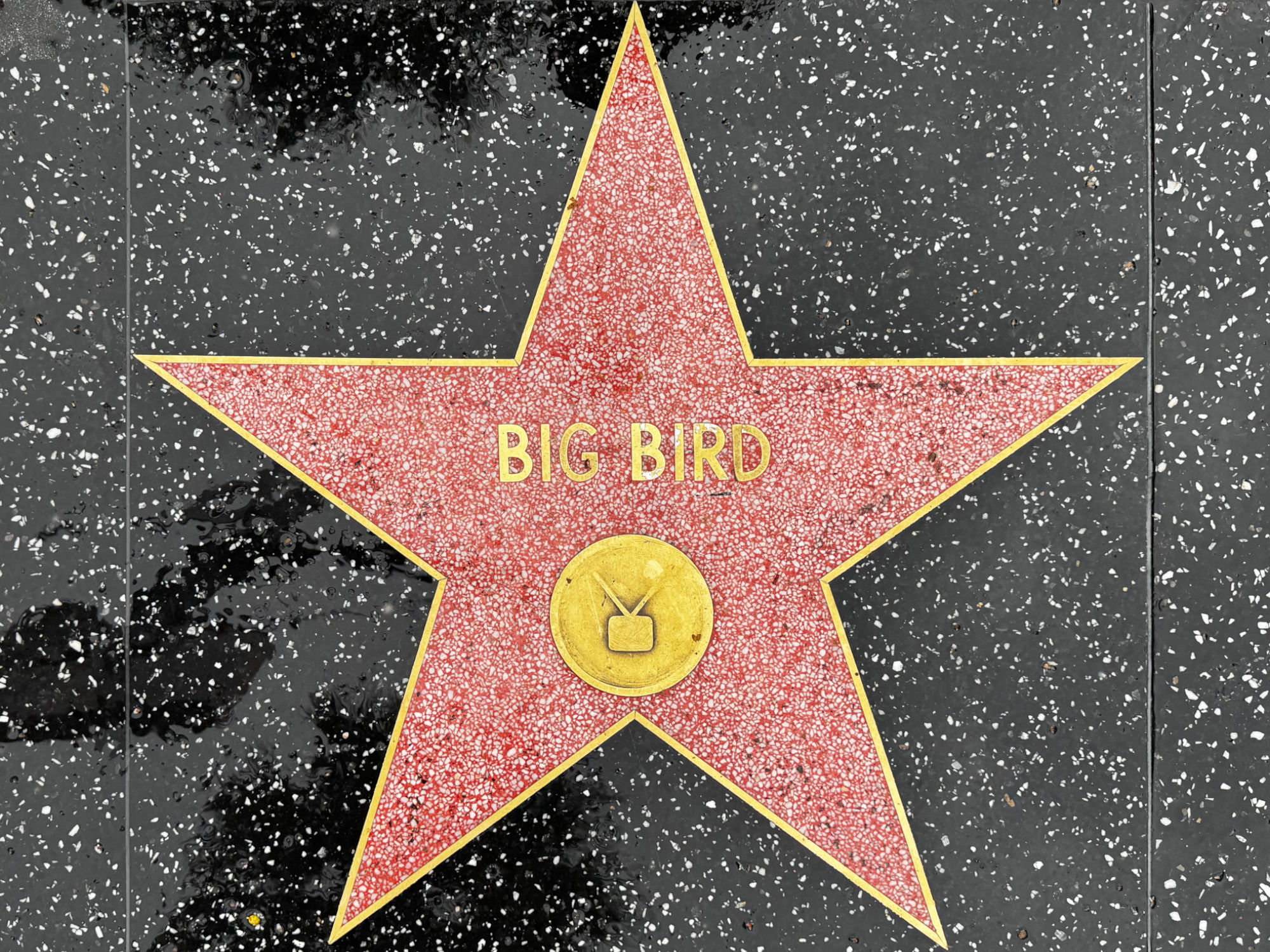 Hollywood Walk of Fame Hollywood Walk of Fame