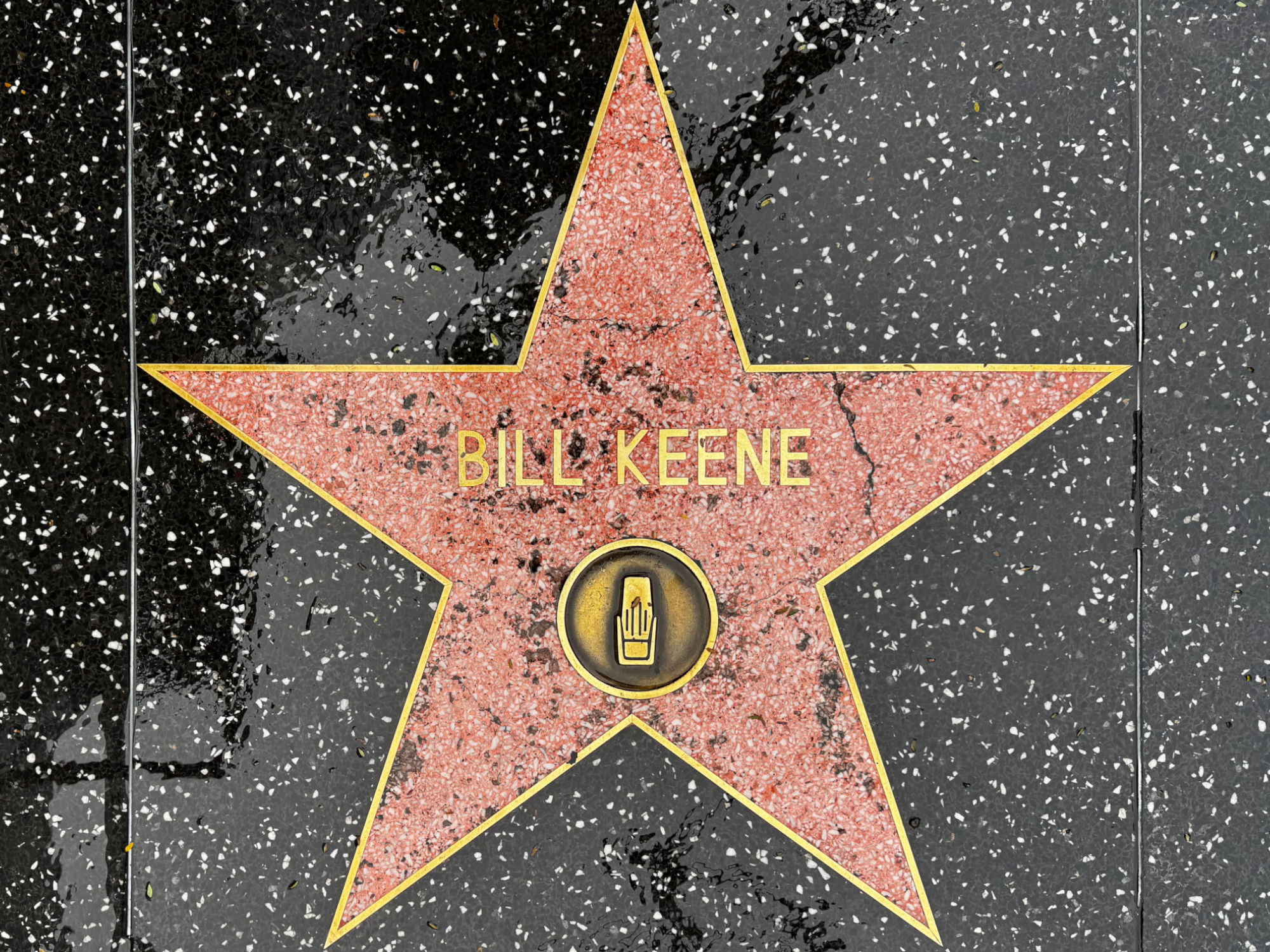 Hollywood Walk of Fame