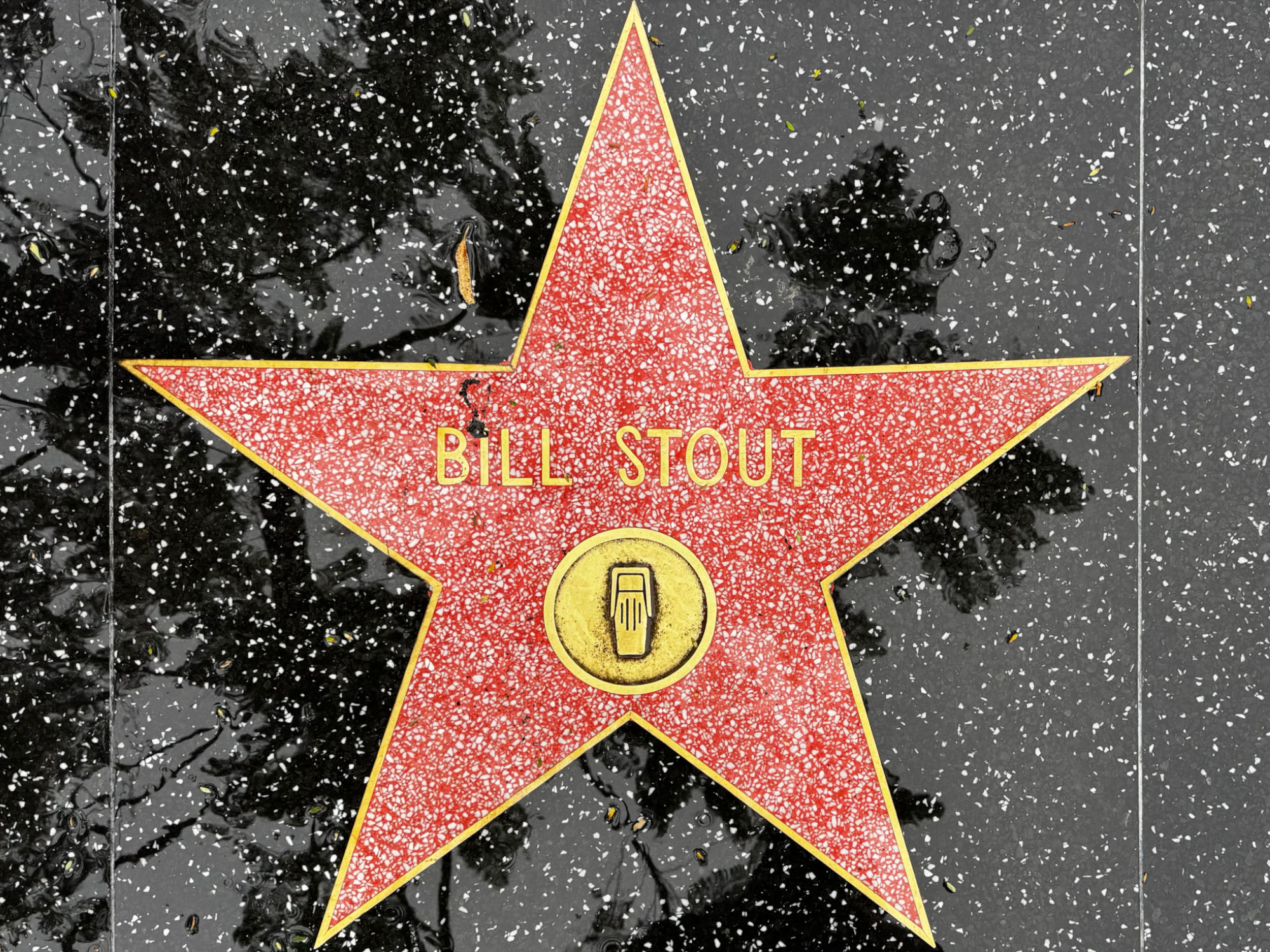 Hollywood Walk of Fame