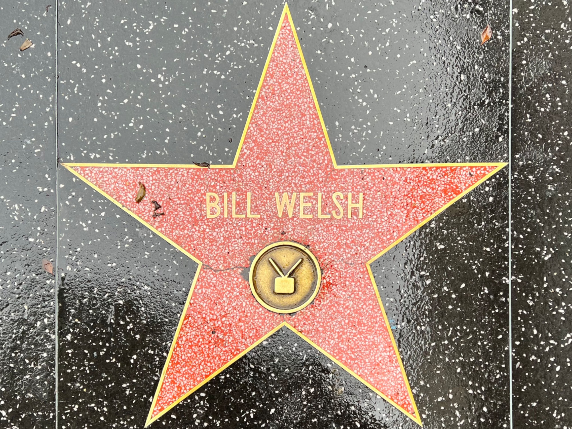 Hollywood Walk of Fame