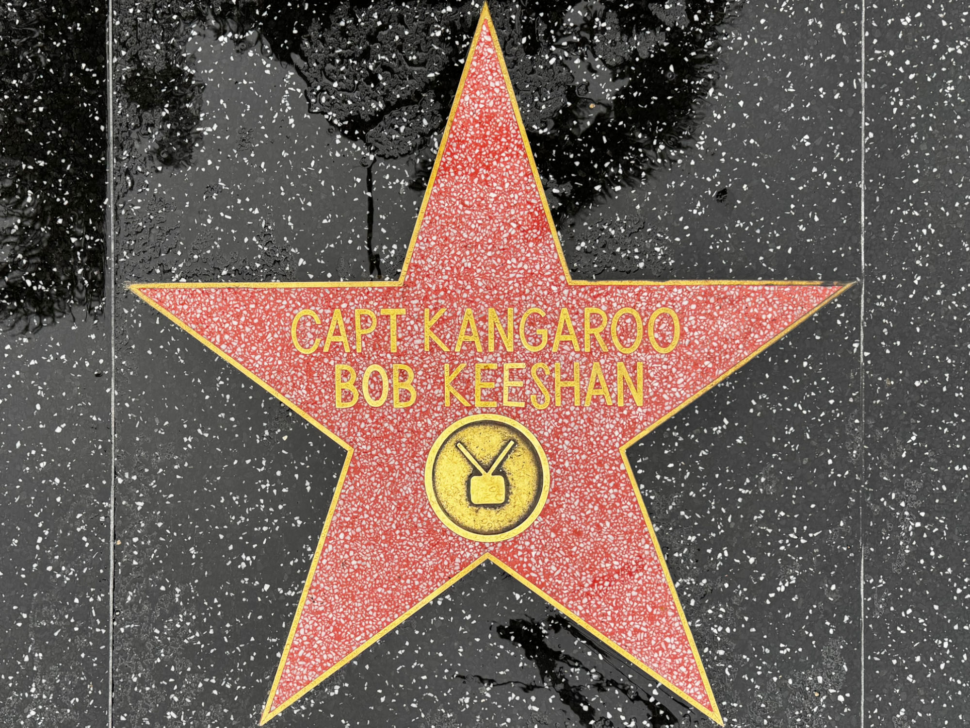 Hollywood Walk of Fame Hollywood Walk of Fame