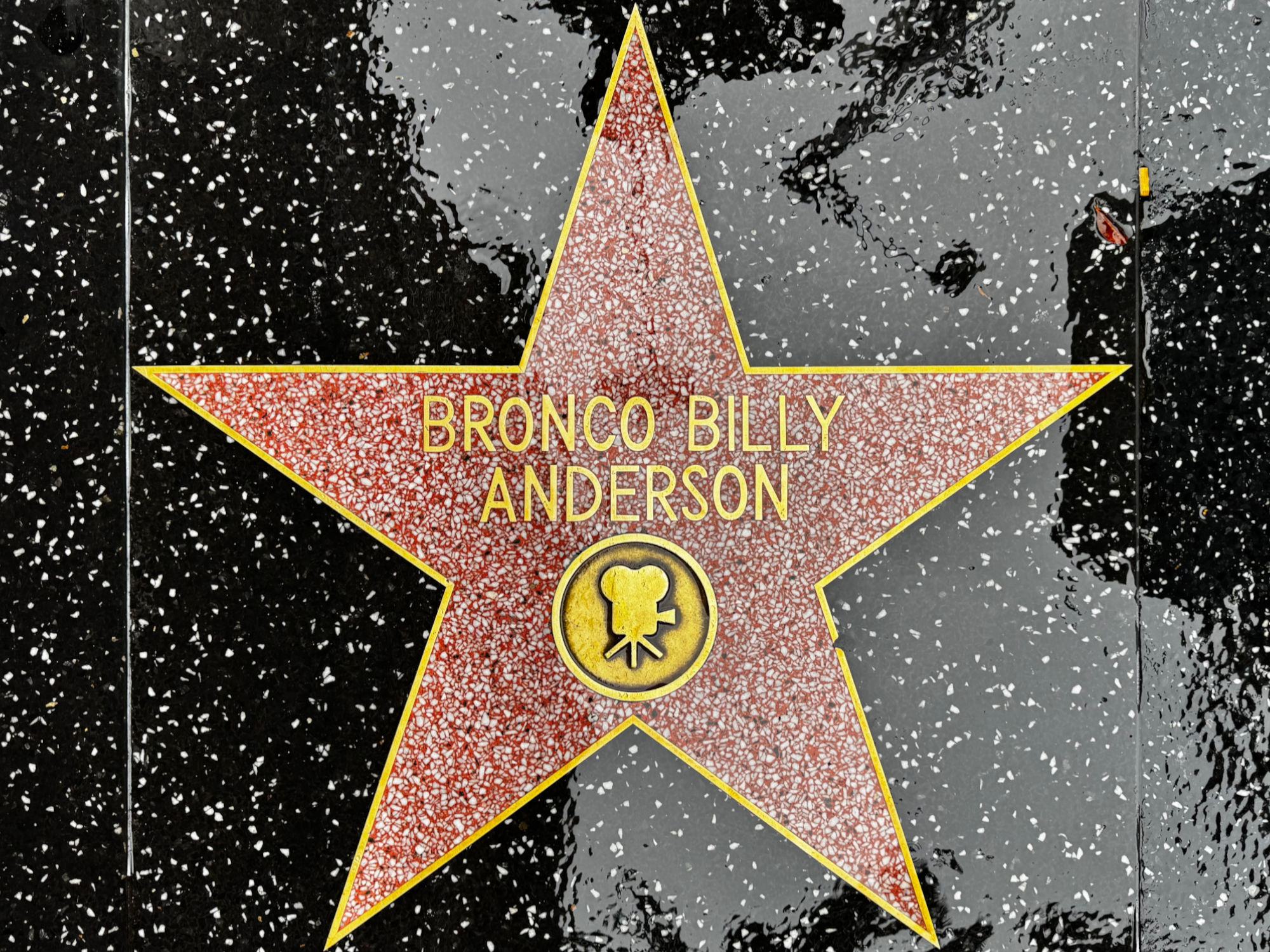 Hollywood Walk of Fame