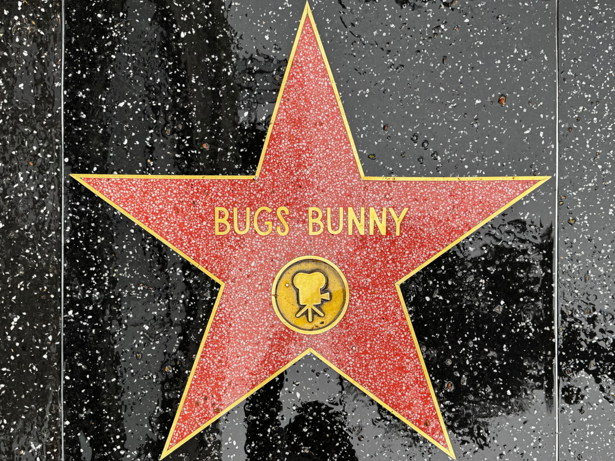 Hollywood Walk of Fame Hollywood Walk of Fame