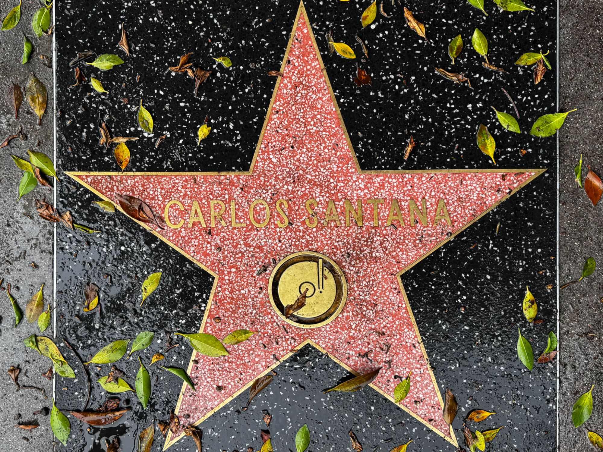 Hollywood Walk of Fame Hollywood Walk of Fame