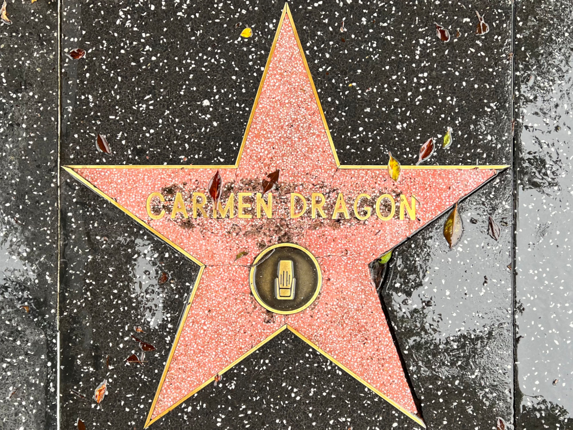 Hollywood Walk of Fame