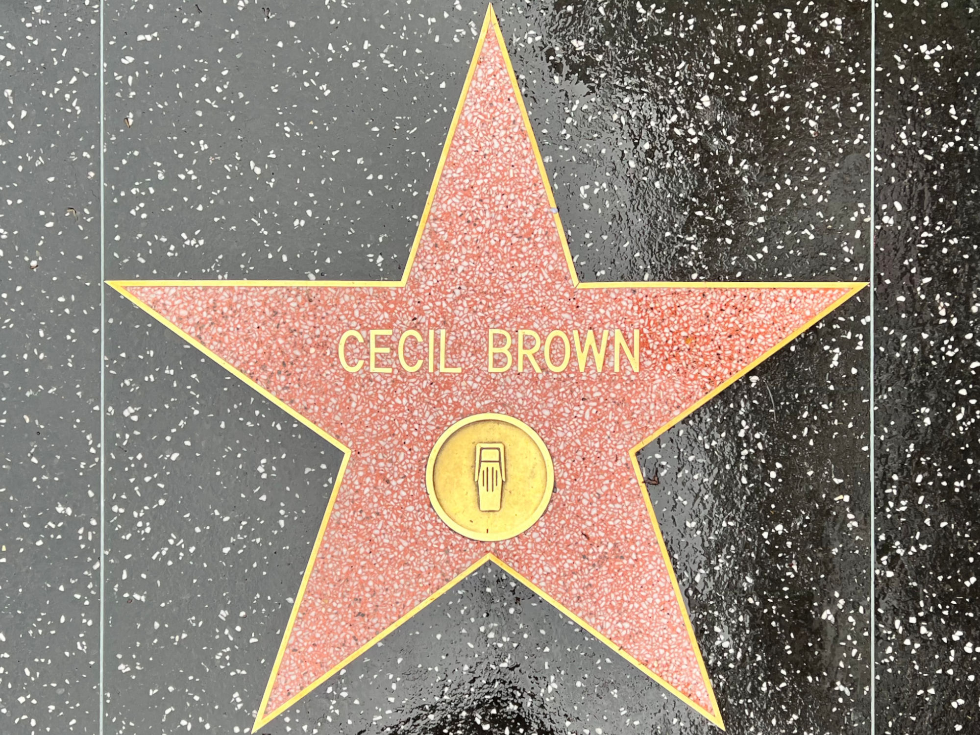 Hollywood Walk of Fame