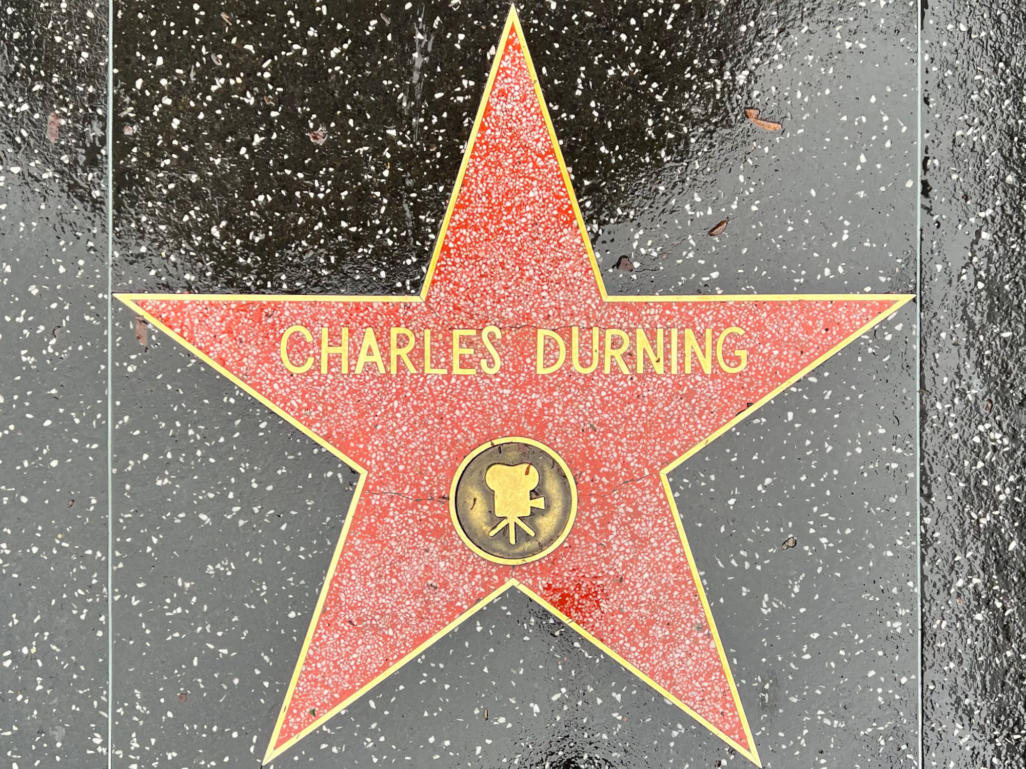 Hollywood Walk of Fame