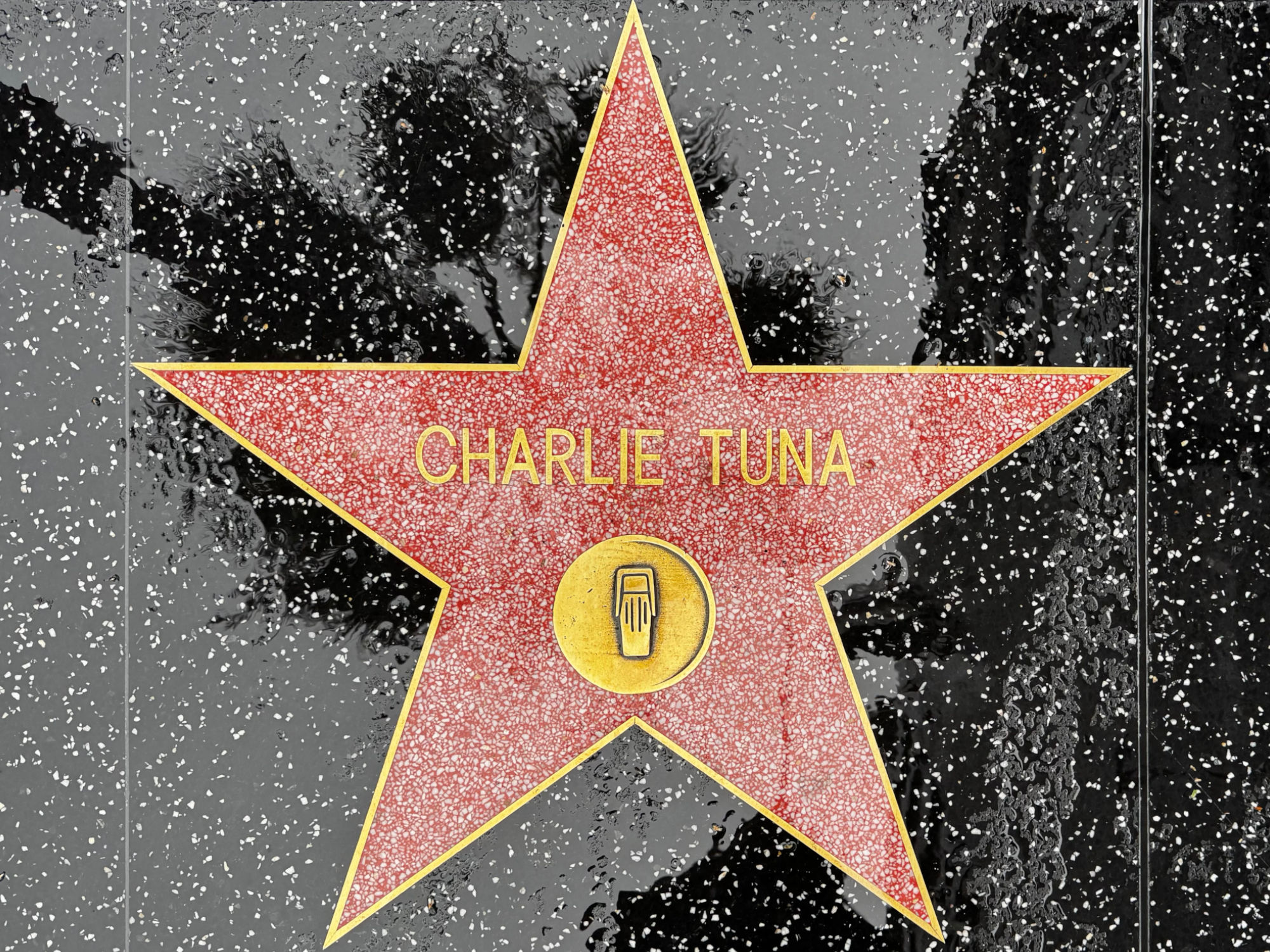 Hollywood Walk of Fame