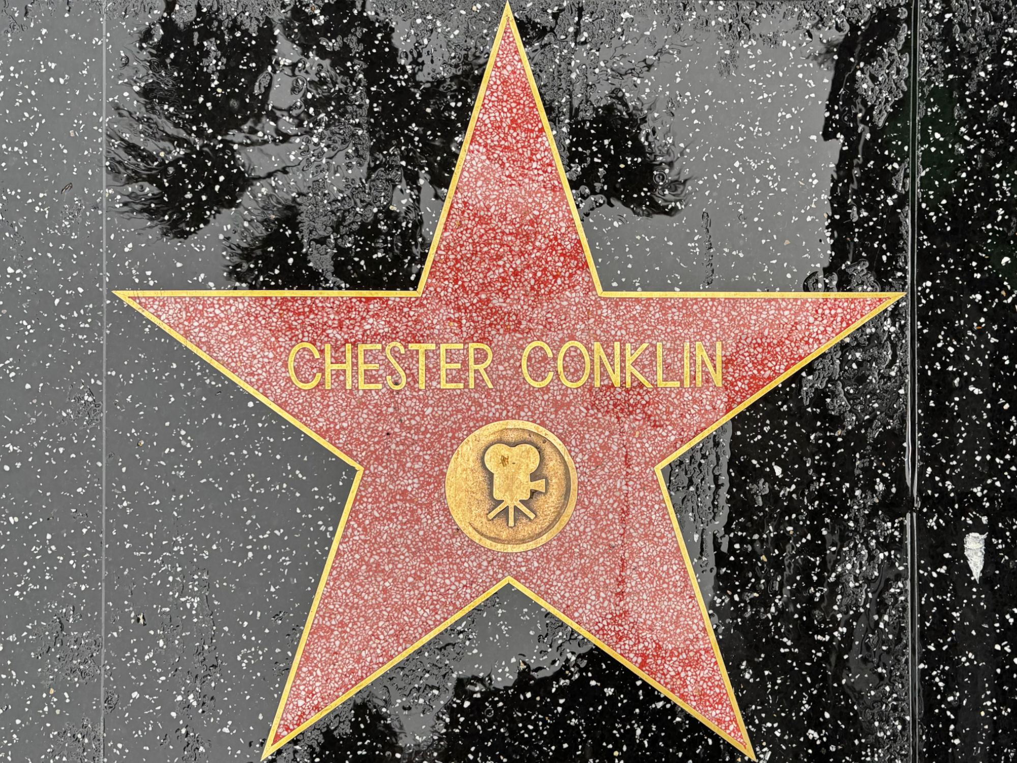 Hollywood Walk of Fame