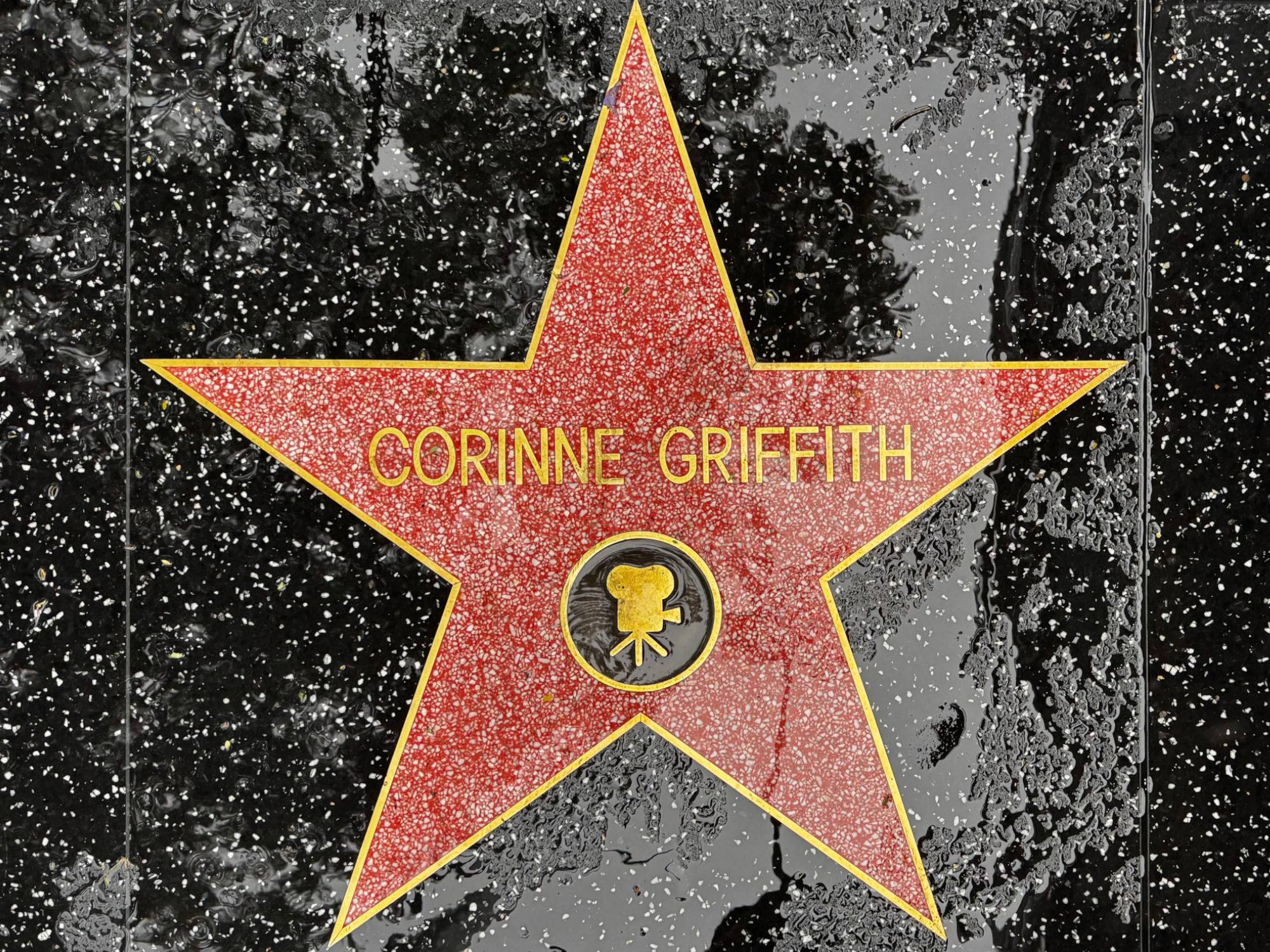 Hollywood Walk of Fame Hollywood Walk of Fame