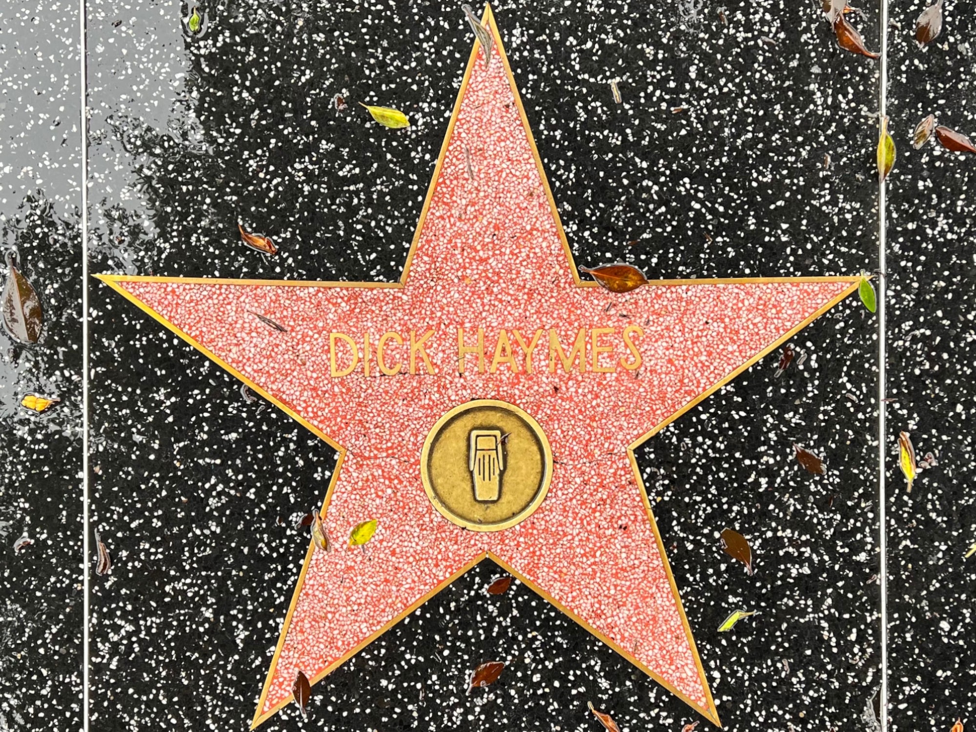 Hollywood Walk of Fame