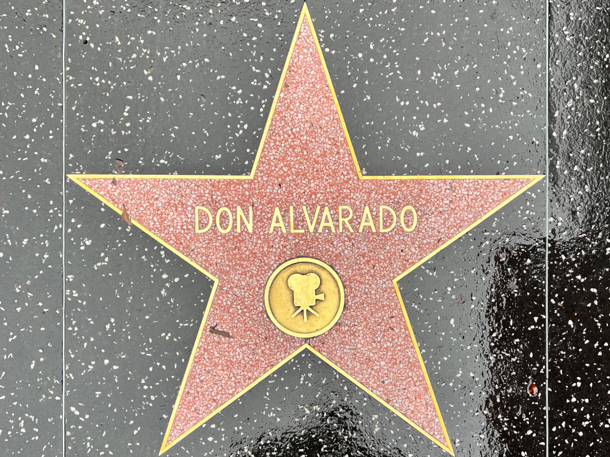 Hollywood Walk of Fame