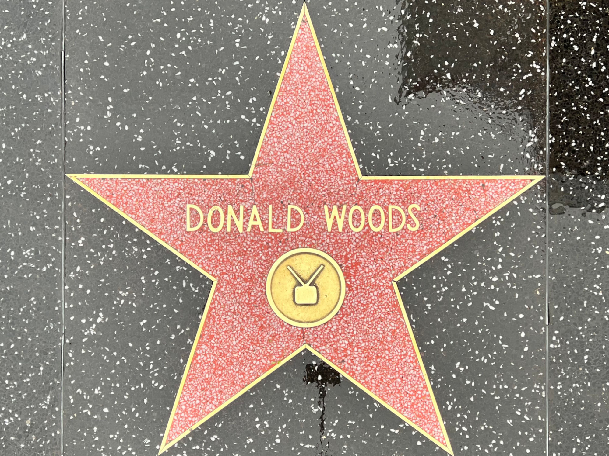 Hollywood Walk of Fame