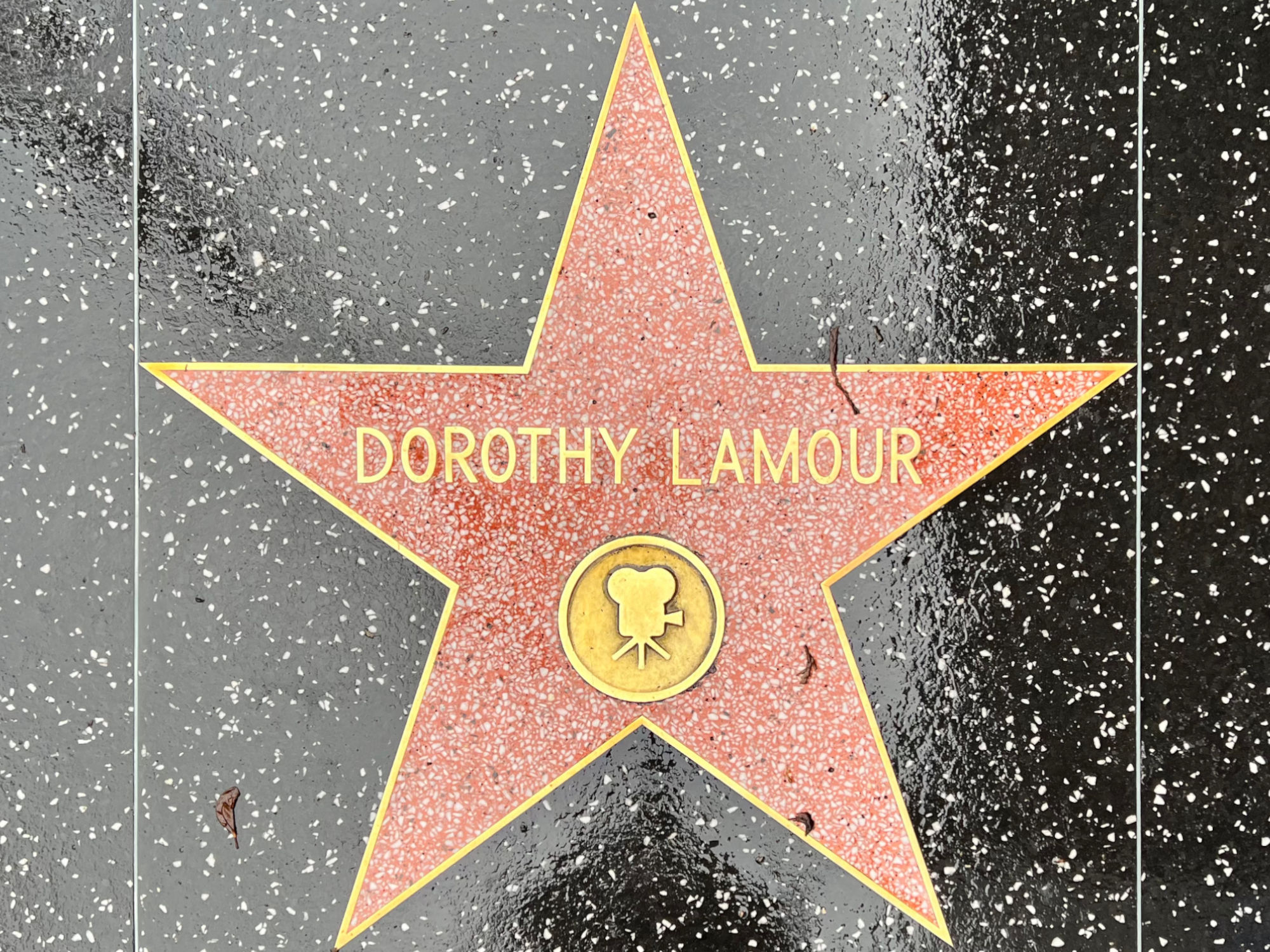 Hollywood Walk of Fame