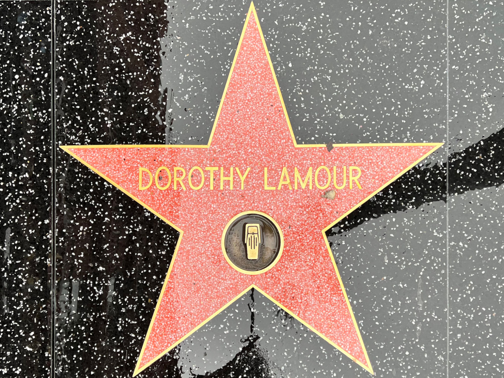 Dorothy Lamour's Radio Star