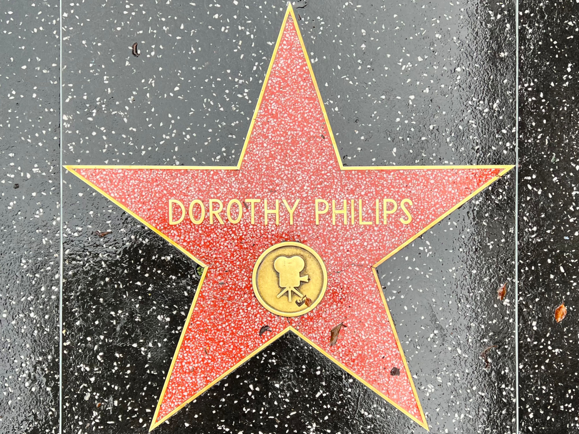 Hollywood Walk of Fame Hollywood Walk of Fame