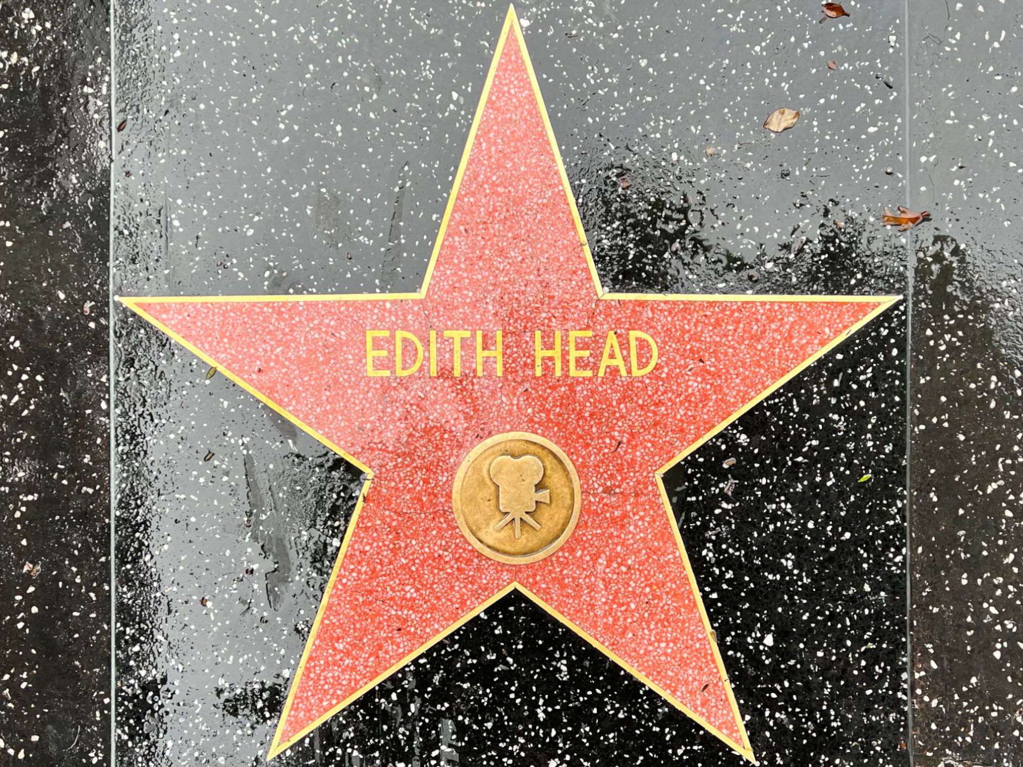 Hollywood Walk of Fame