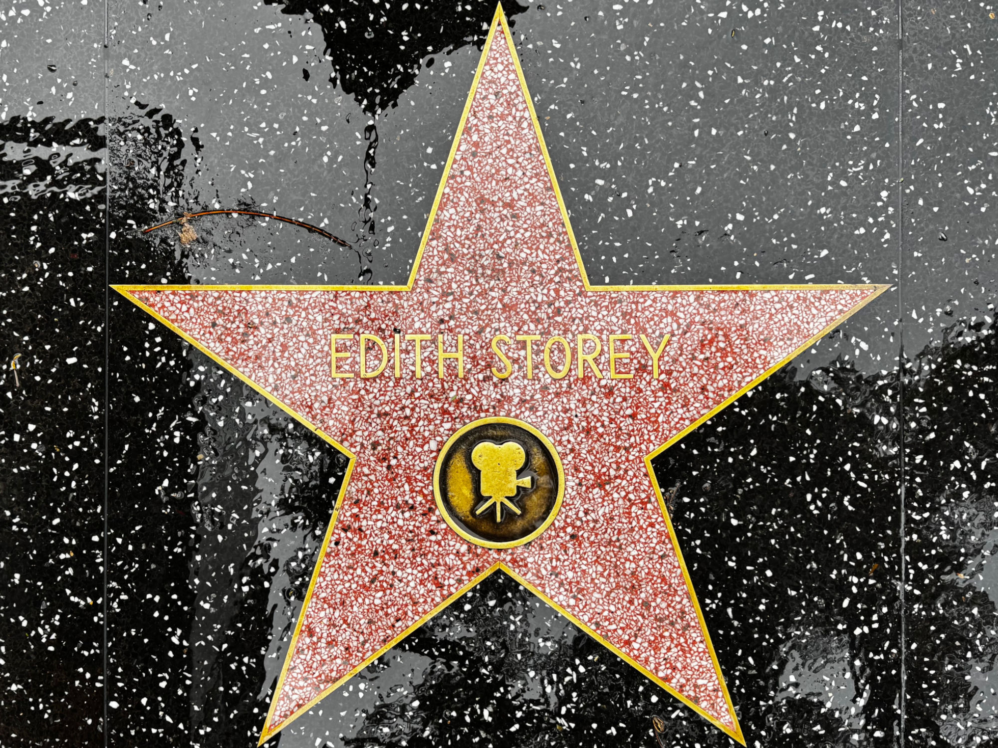 Hollywood Walk of Fame Hollywood Walk of Fame