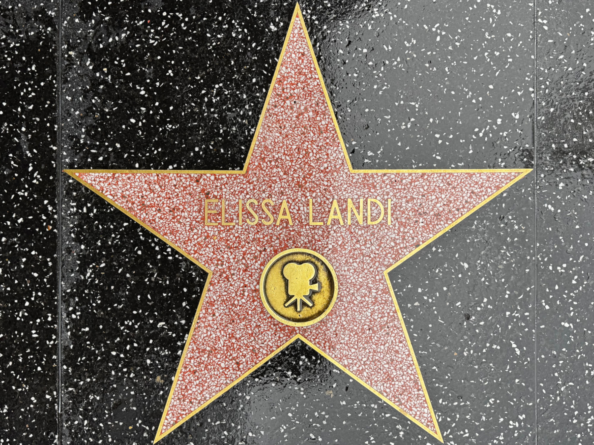 Hollywood Walk of Fame Hollywood Walk of Fame