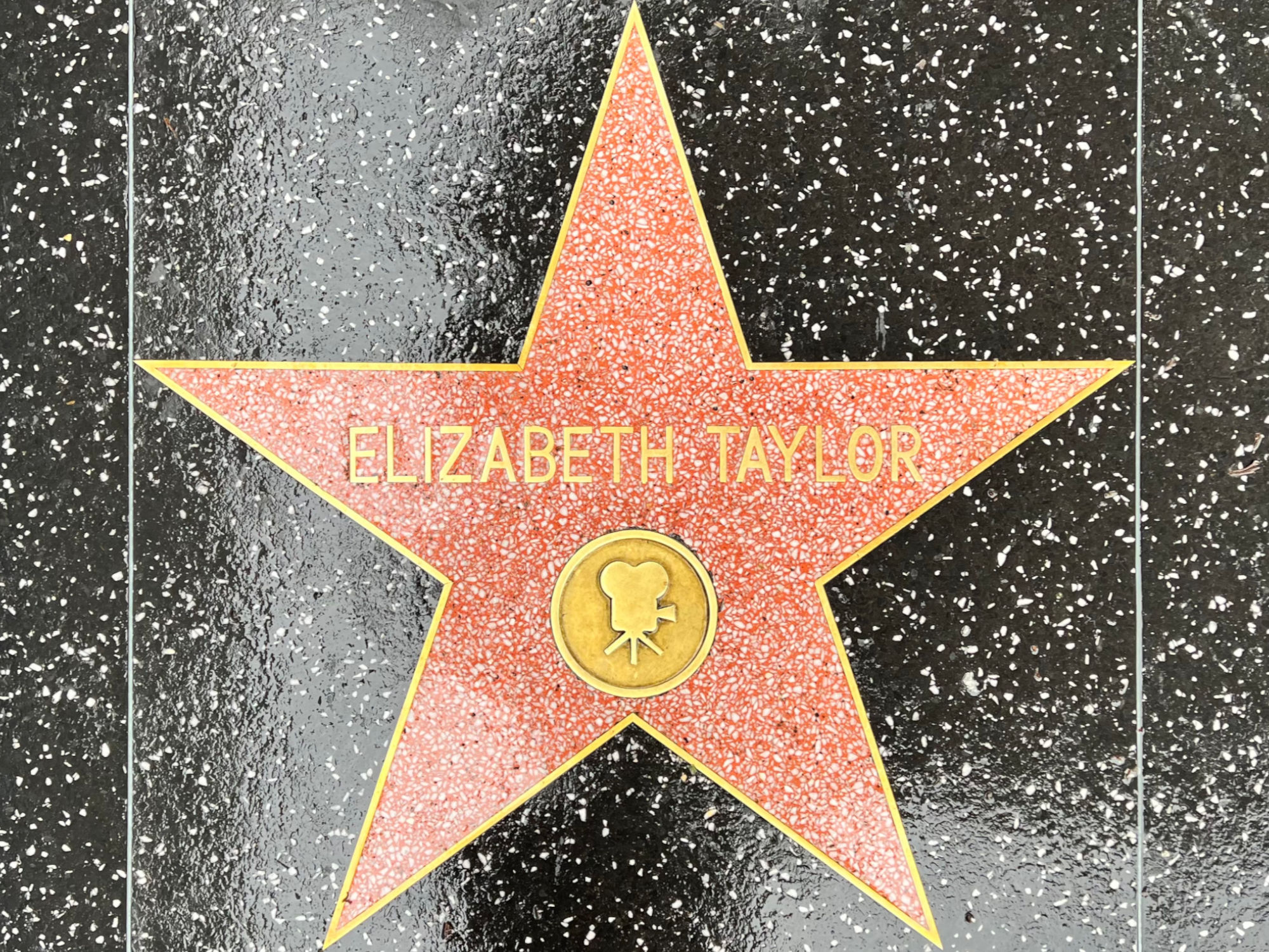 Hollywood Walk of Fame