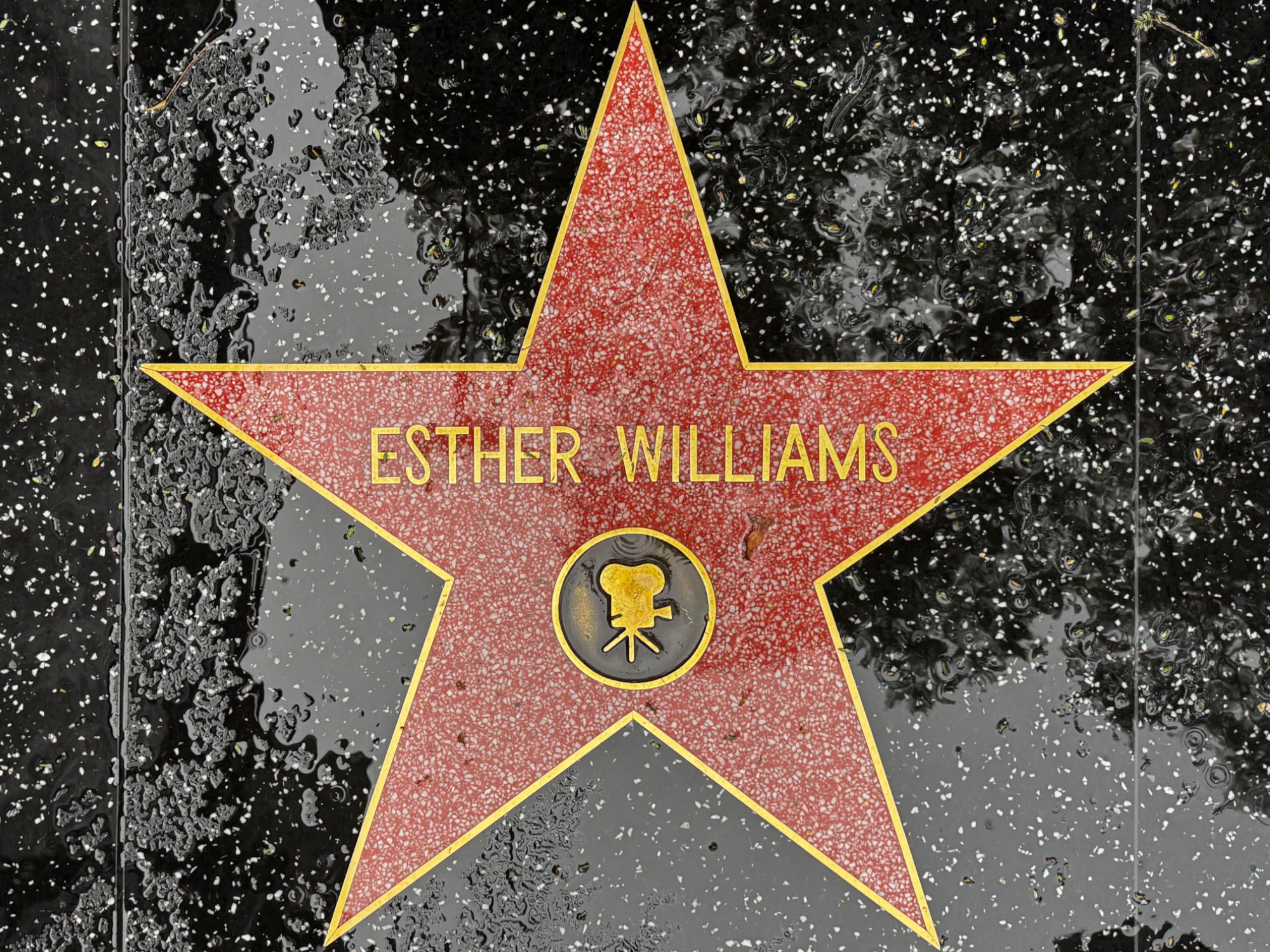 Hollywood Walk of Fame