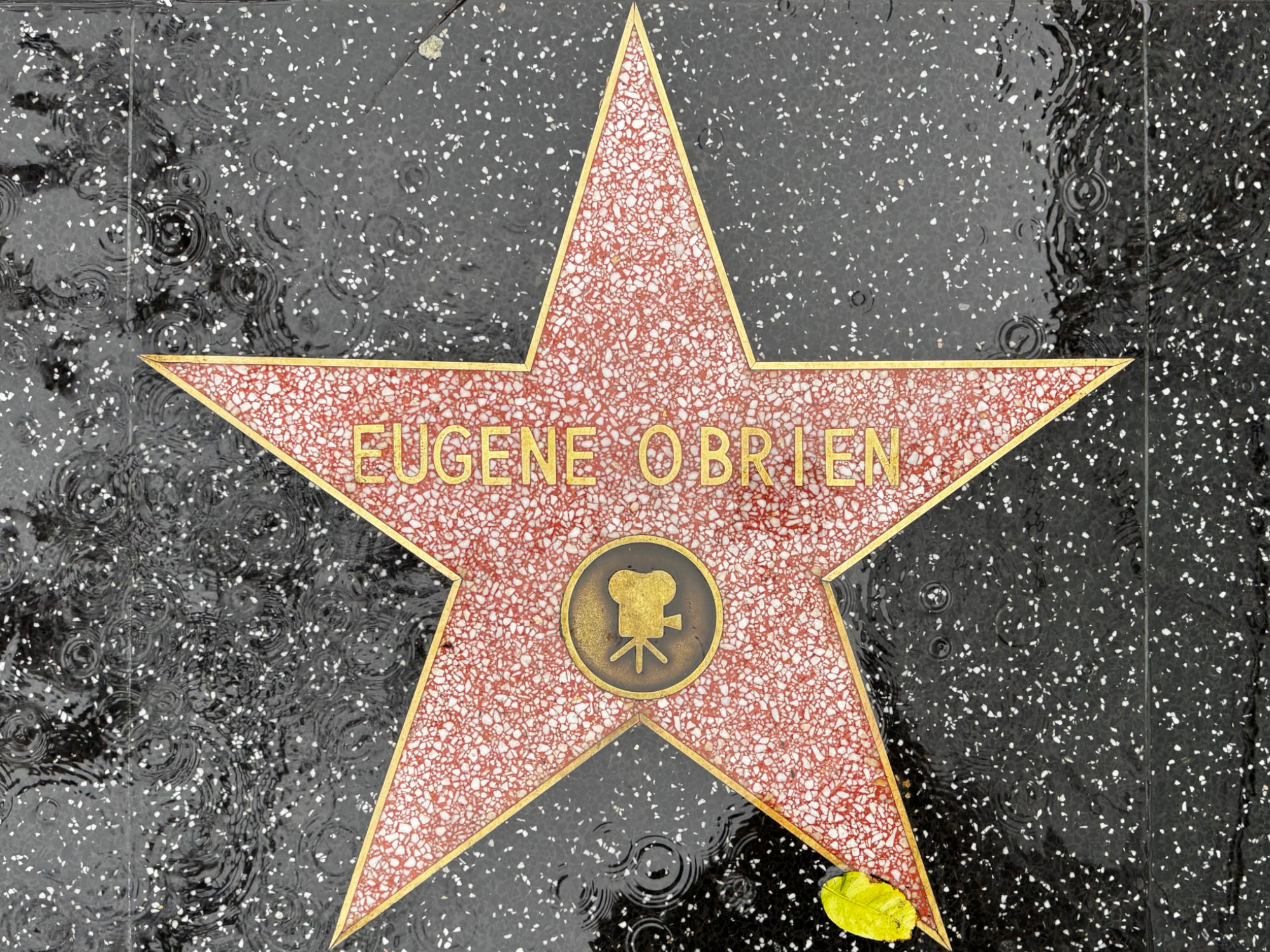 Hollywood Walk of Fame Hollywood Walk of Fame