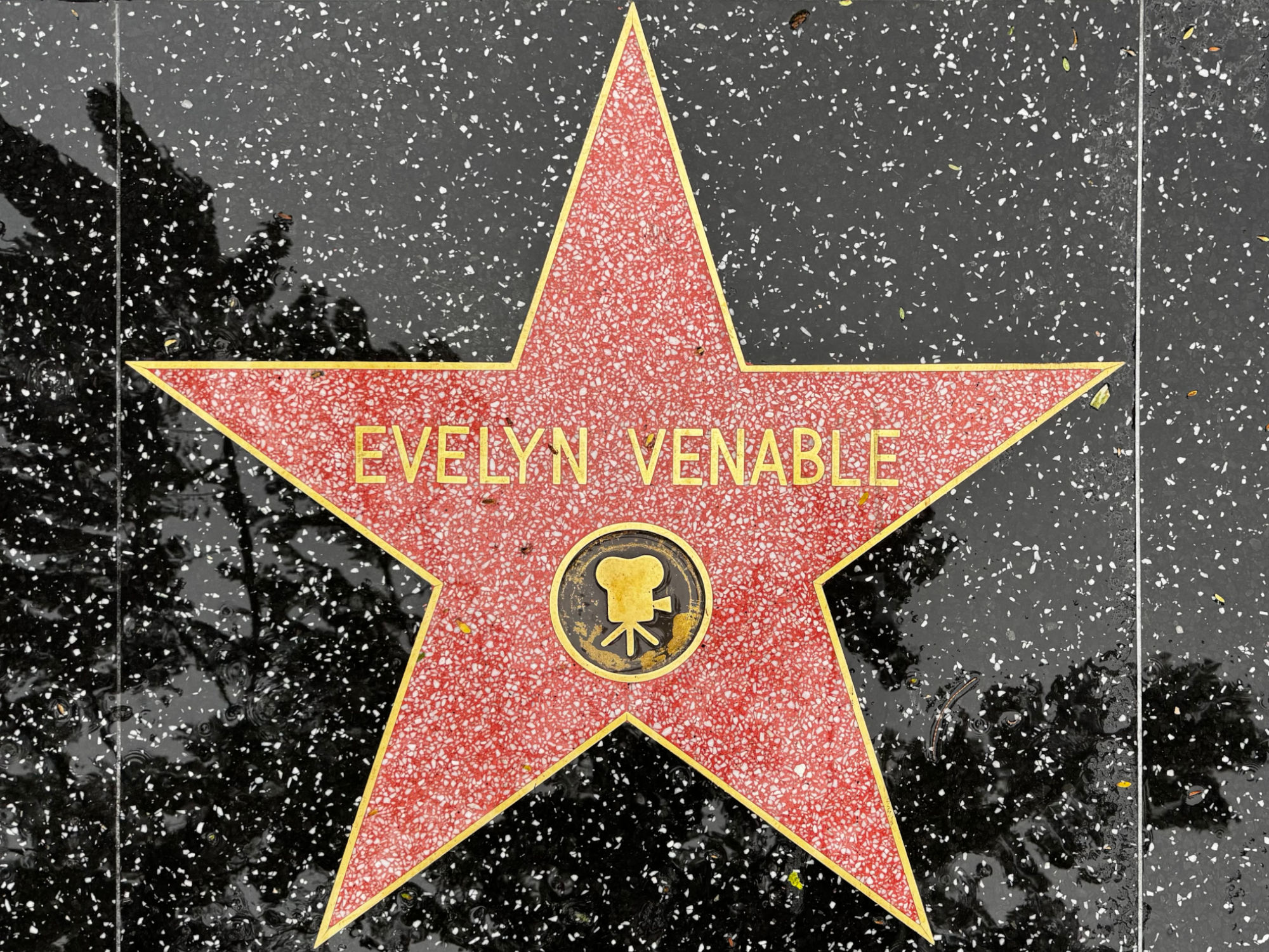 Hollywood Walk of Fame