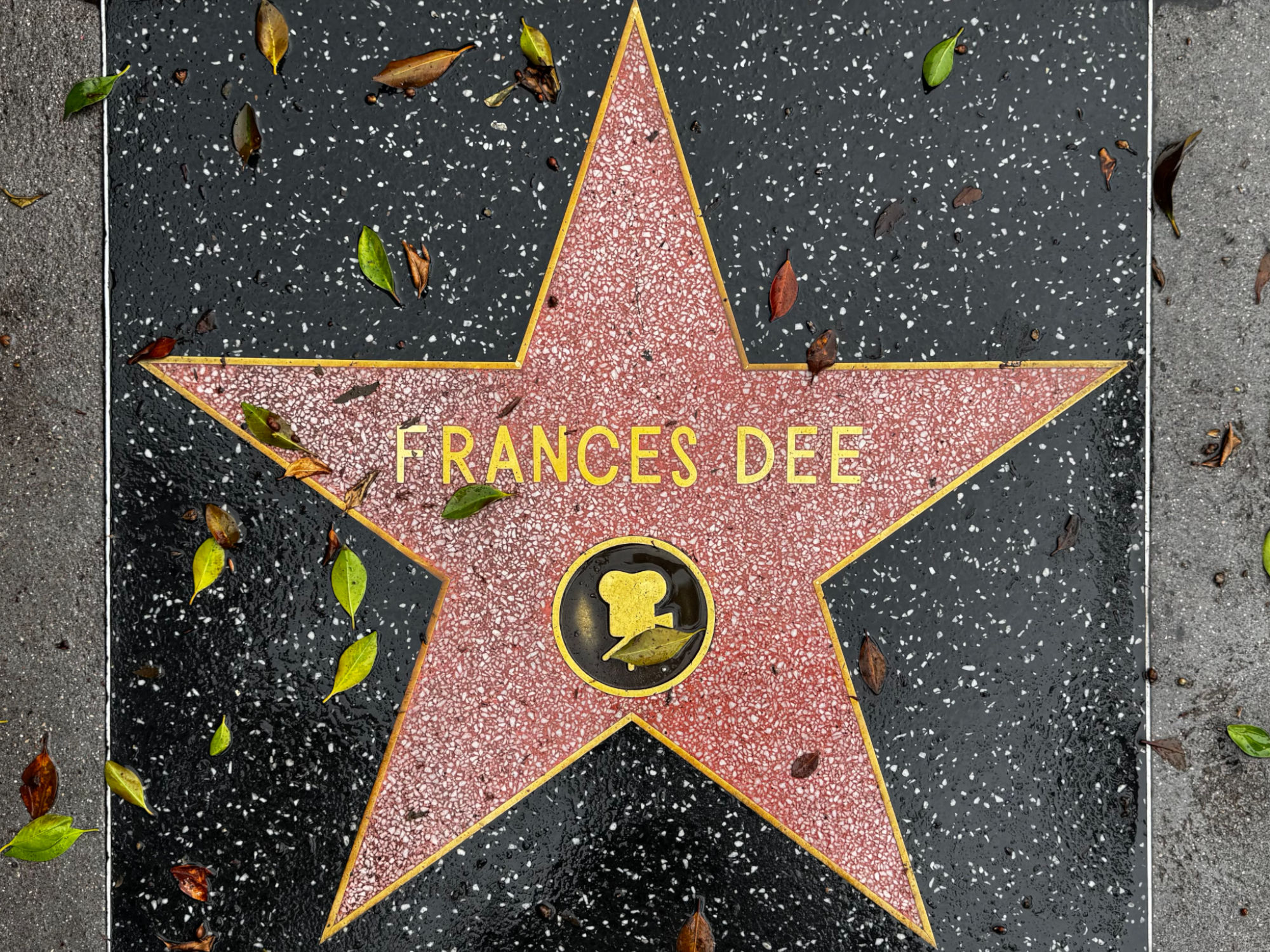 Hollywood Walk of Fame Hollywood Walk of Fame