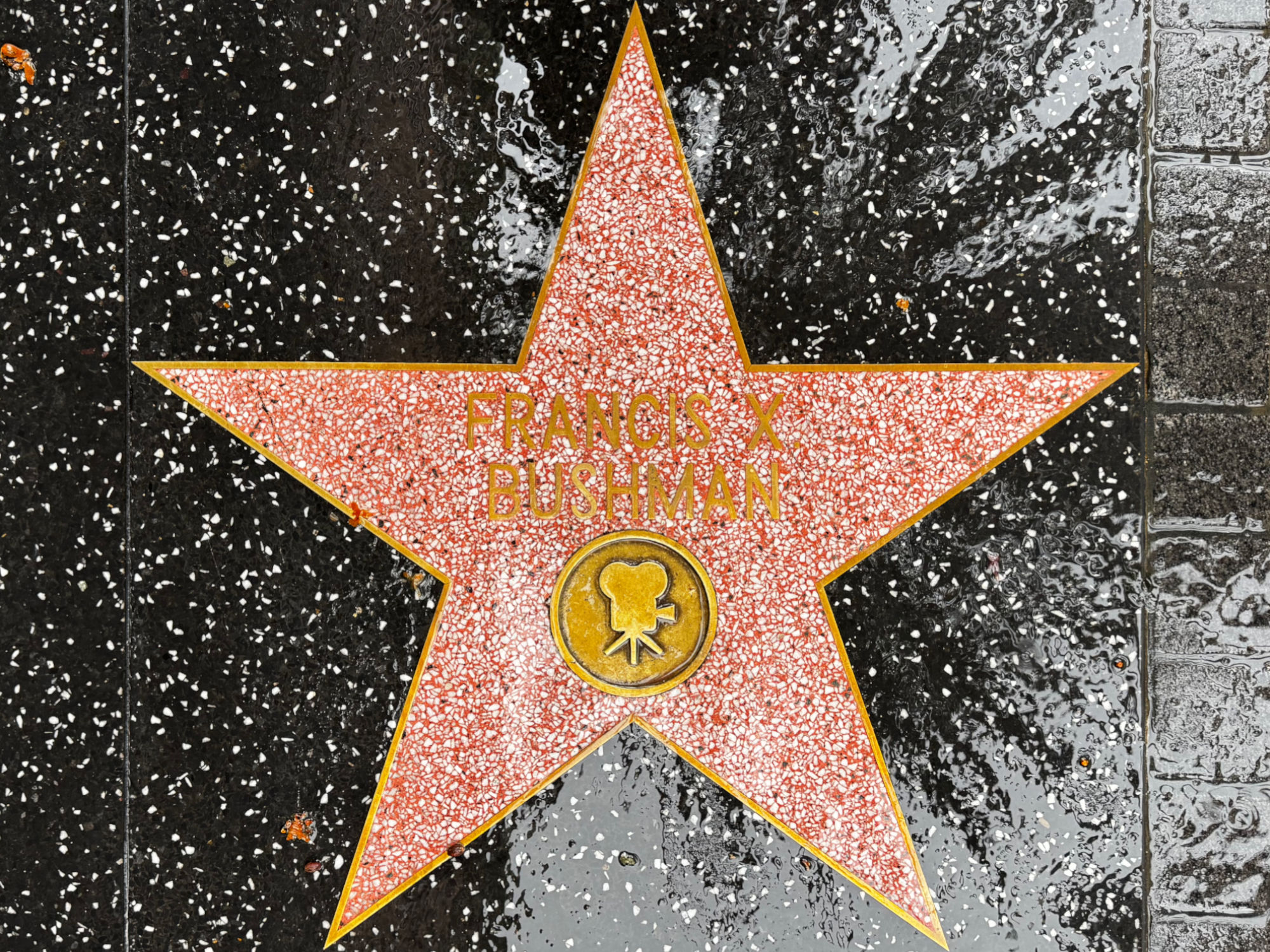 Hollywood Walk of Fame Hollywood Walk of Fame