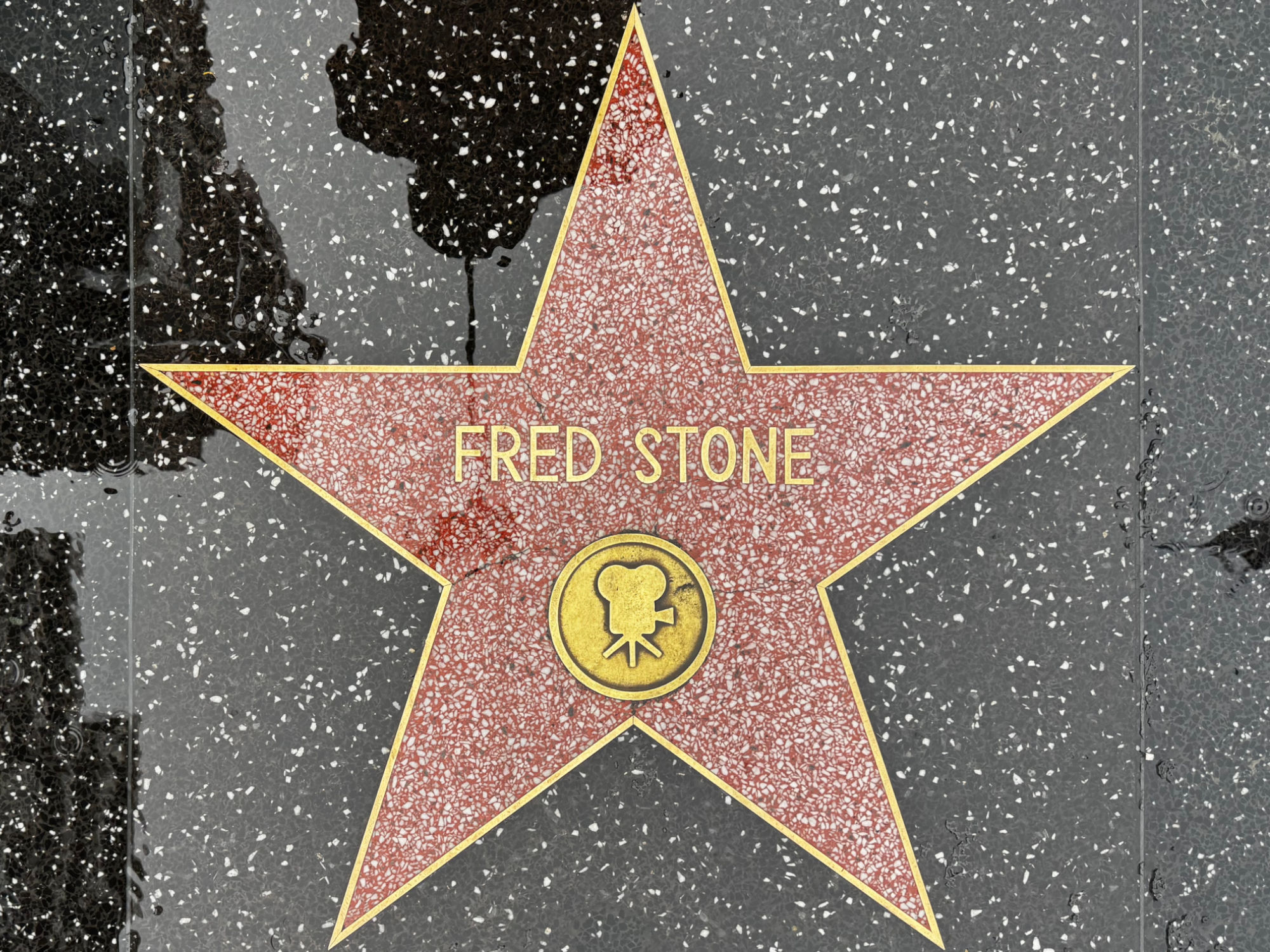 Hollywood Walk of Fame