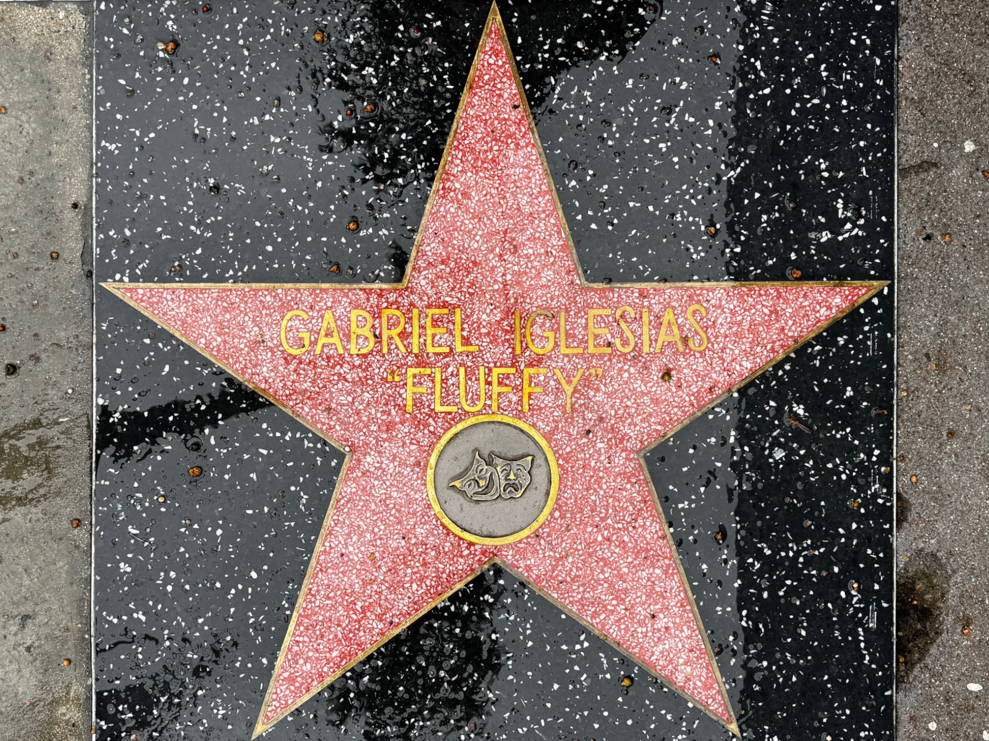 Hollywood Walk of Fame Hollywood Walk of Fame