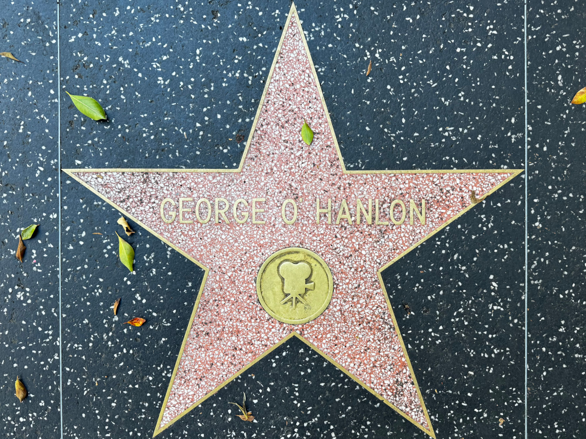 Hollywood Walk of Fame Hollywood Walk of Fame