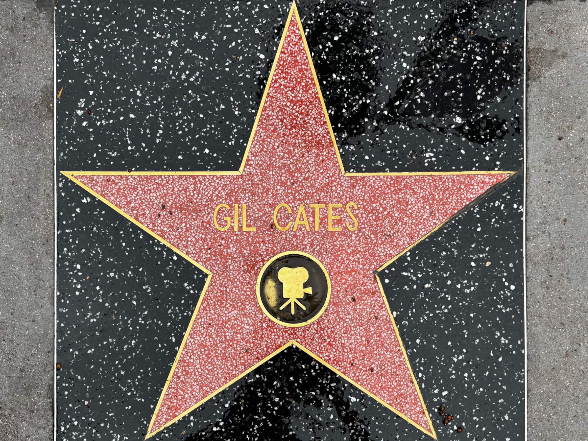 Hollywood Walk of Fame Hollywood Walk of Fame