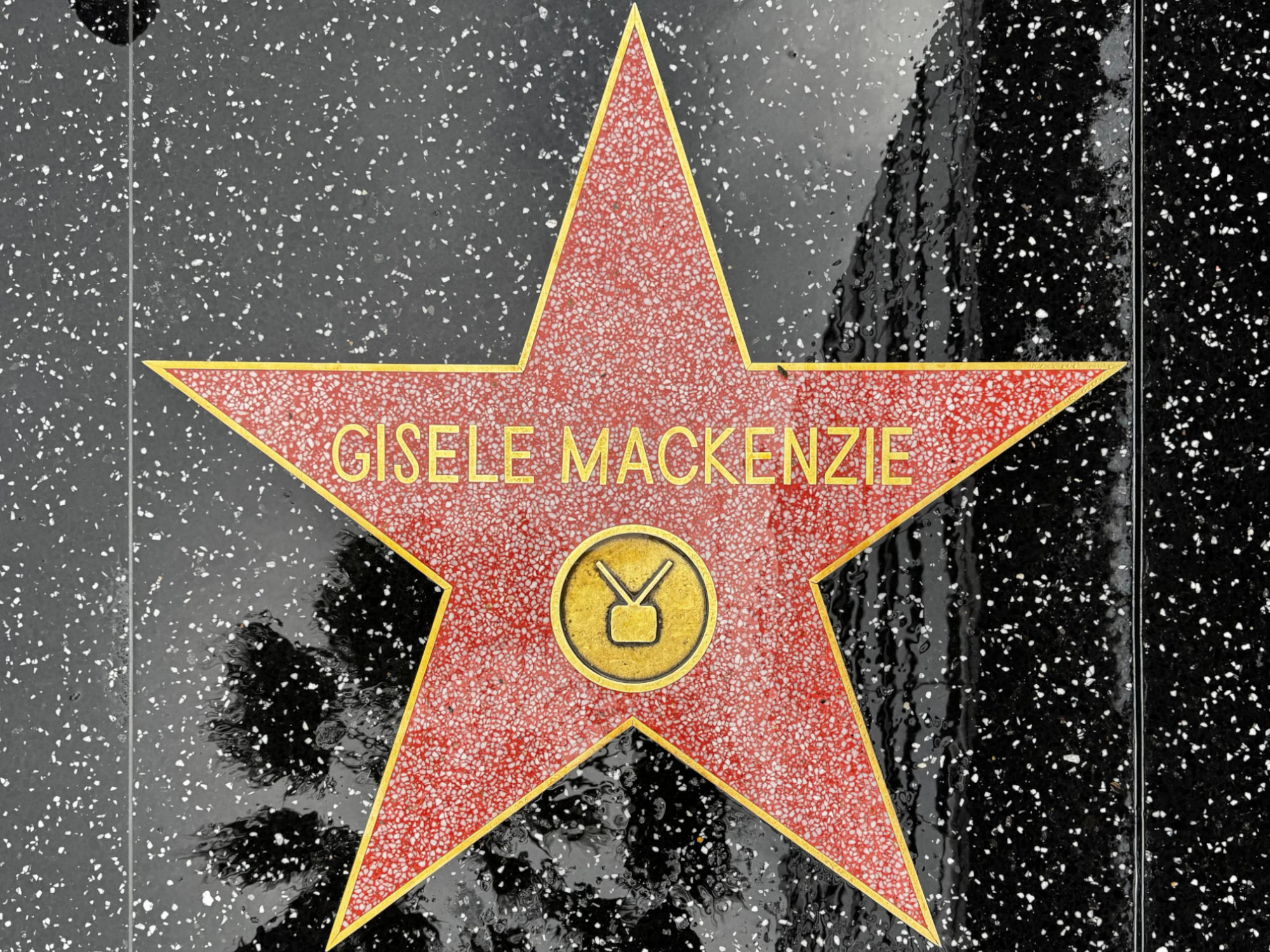 Hollywood Walk of Fame Hollywood Walk of Fame