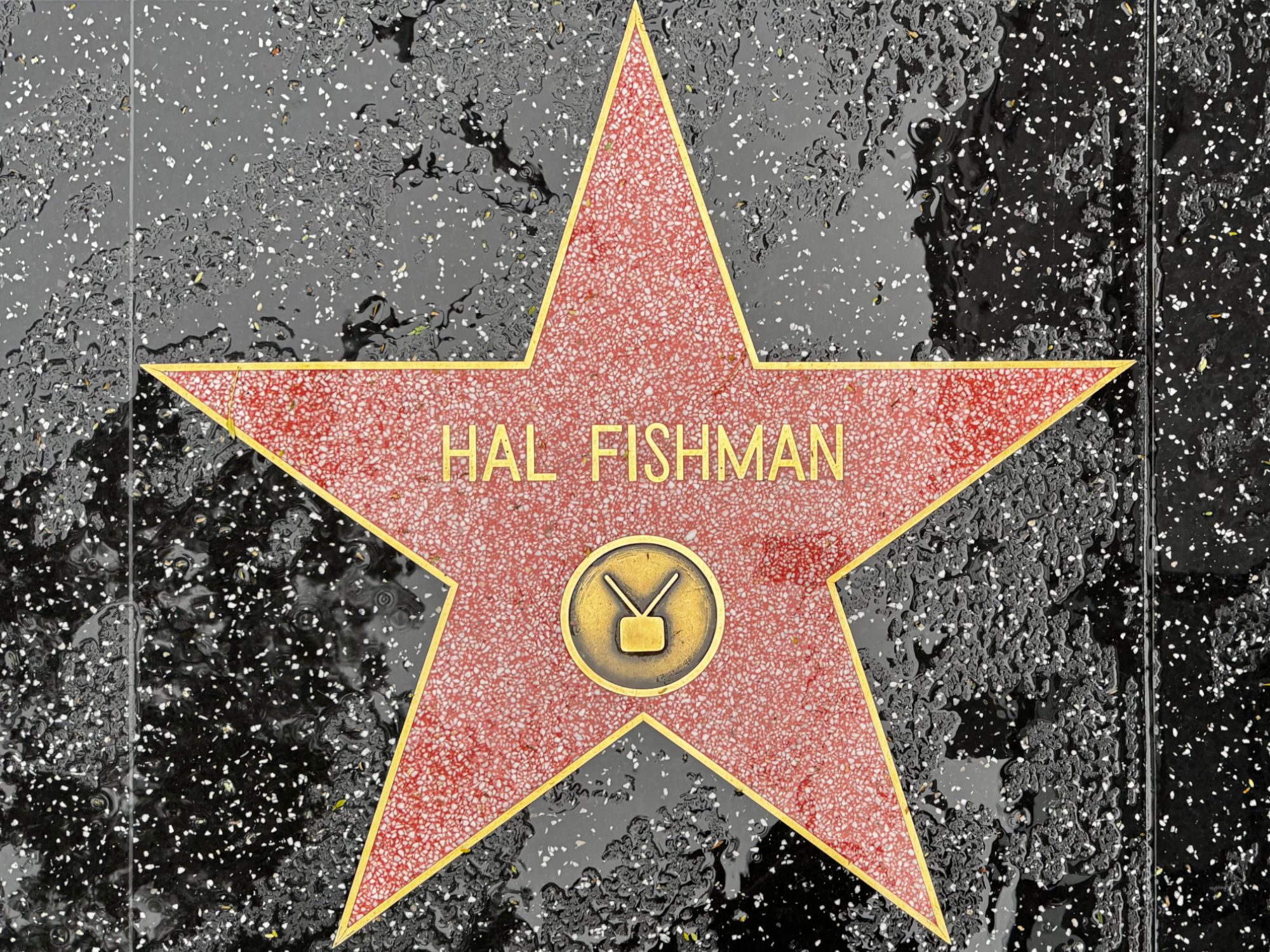 Hollywood Walk of Fame