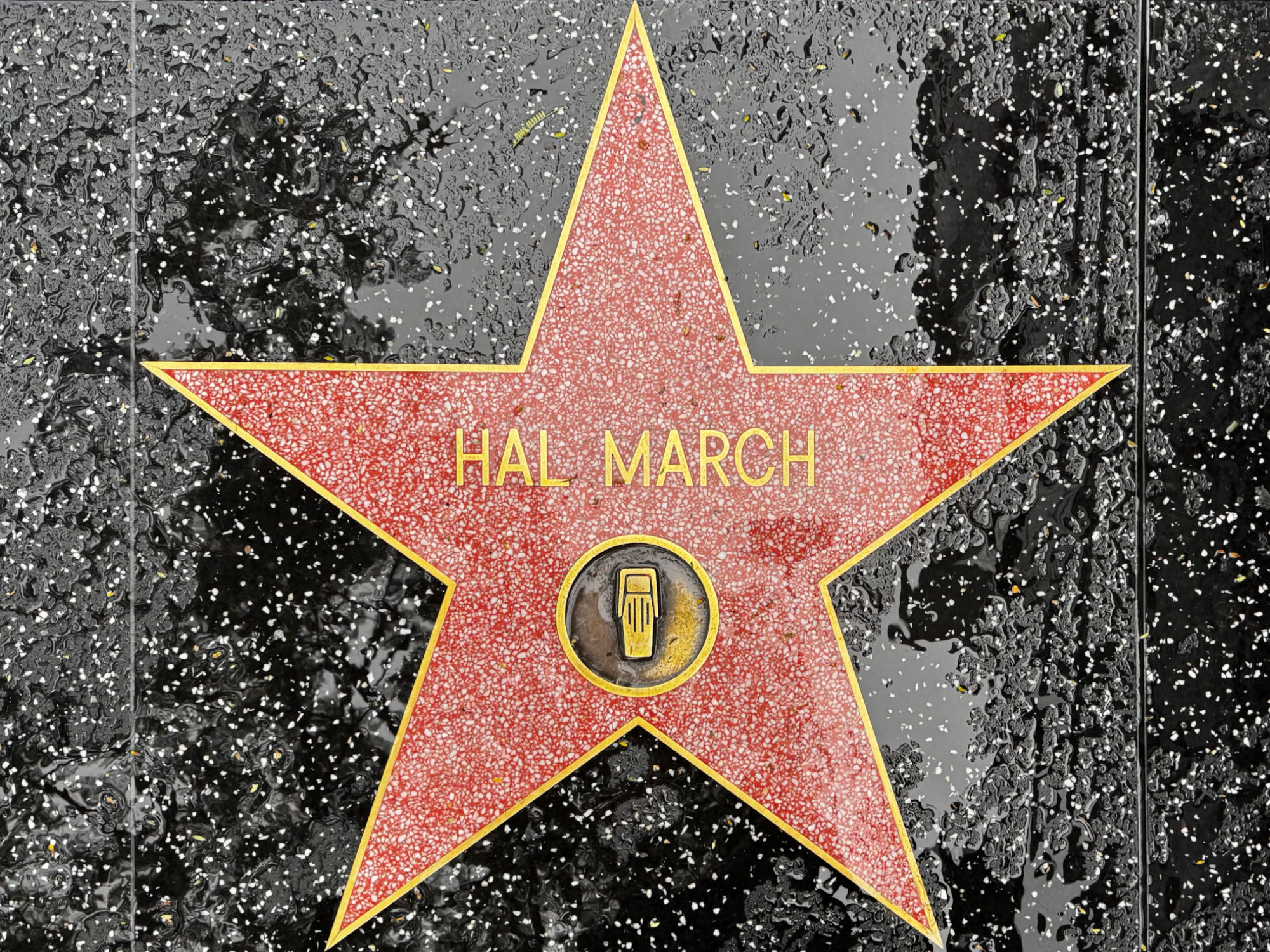 Hollywood Walk of Fame Hollywood Walk of Fame