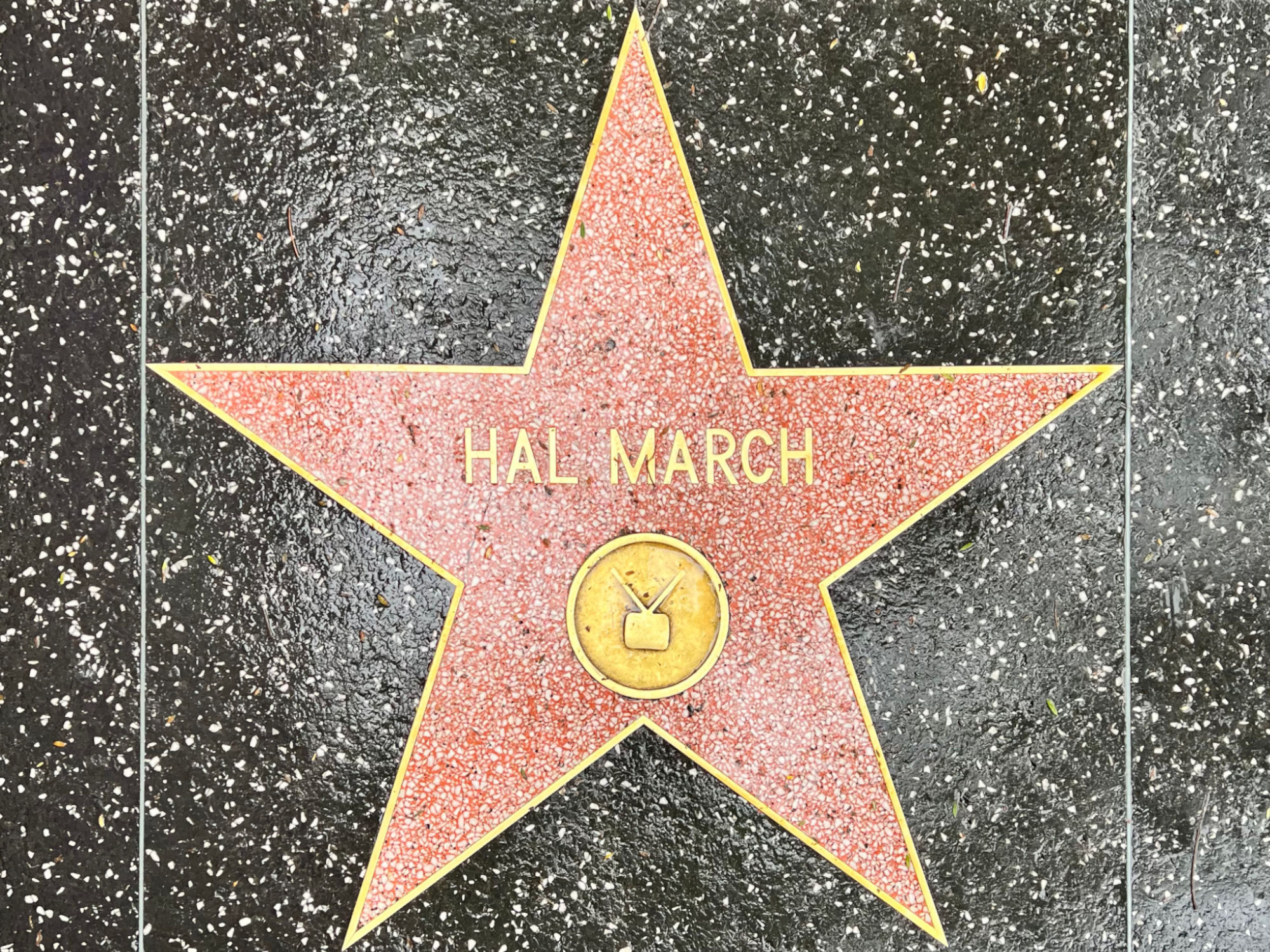 Hollywood Walk of Fame