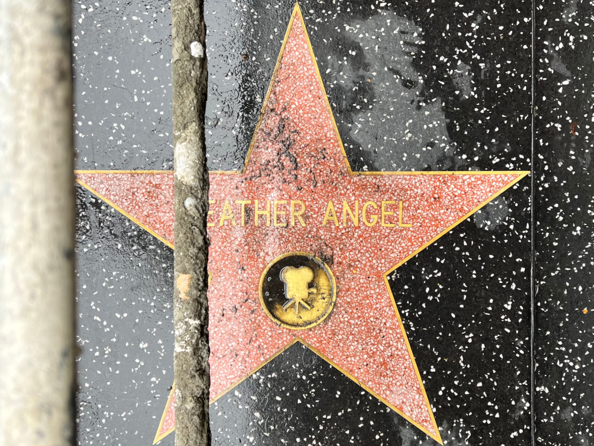 Hollywood Walk of Fame