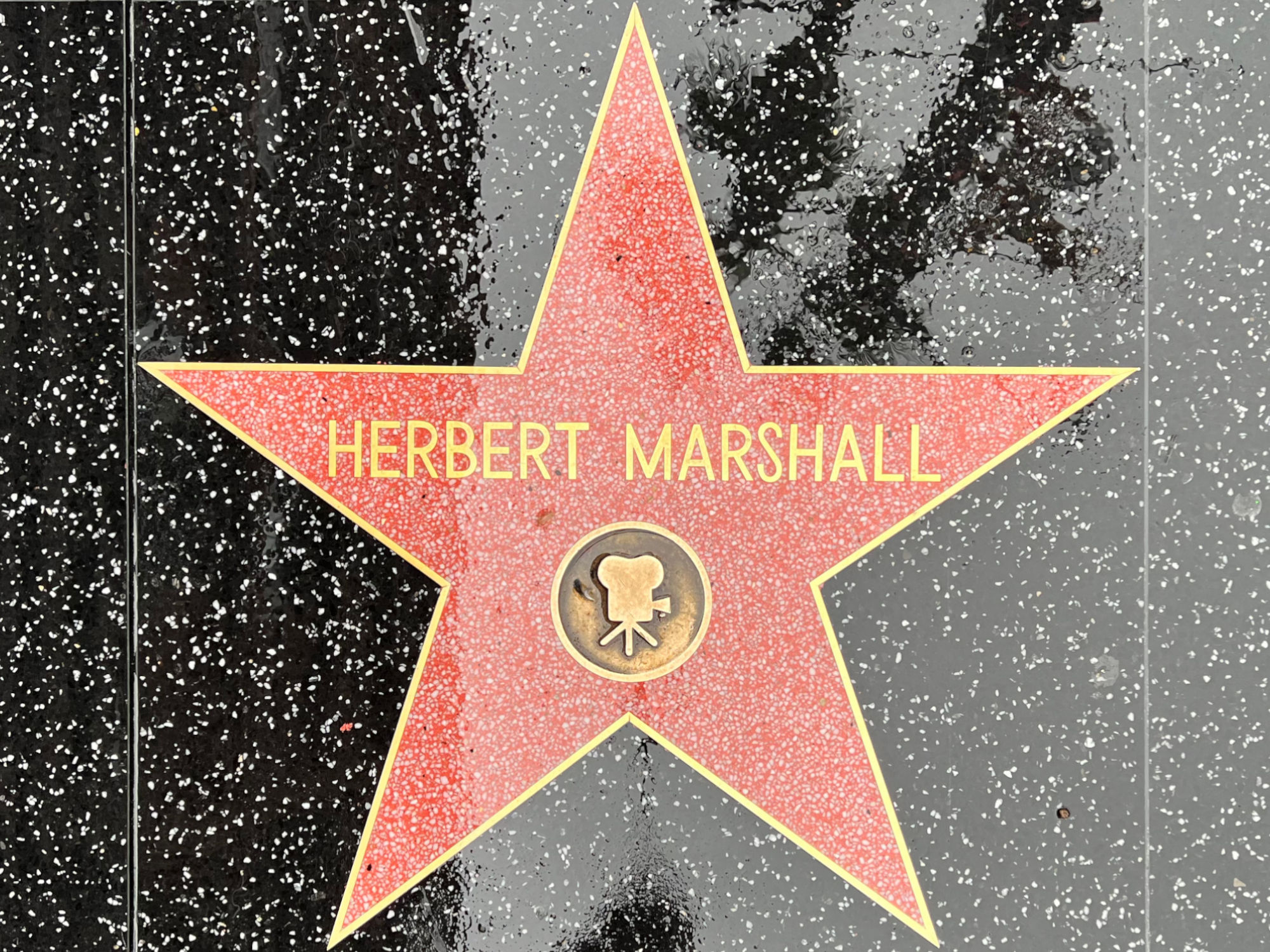 Hollywood Walk of Fame