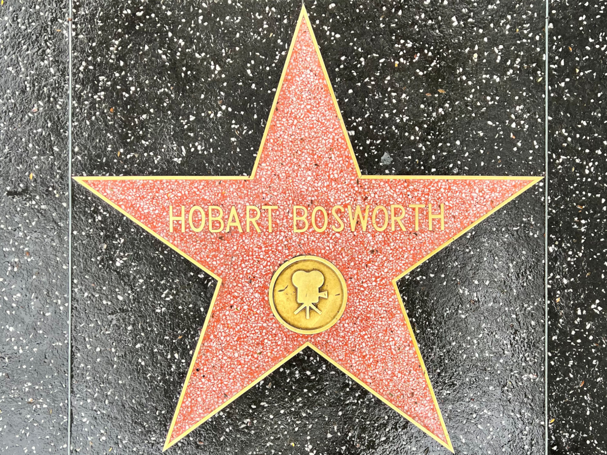 Hollywood Walk of Fame