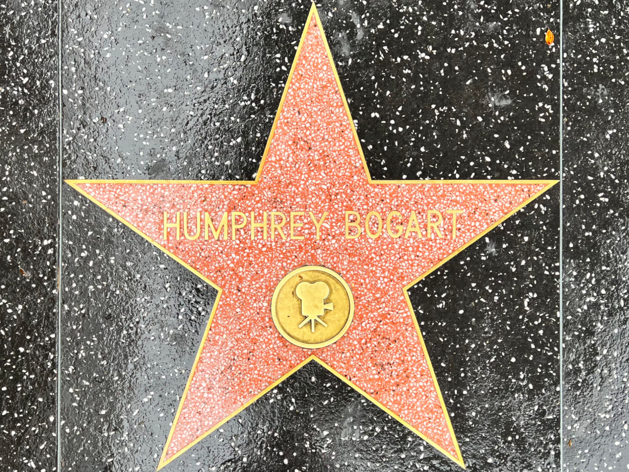 Hollywood Walk of Fame