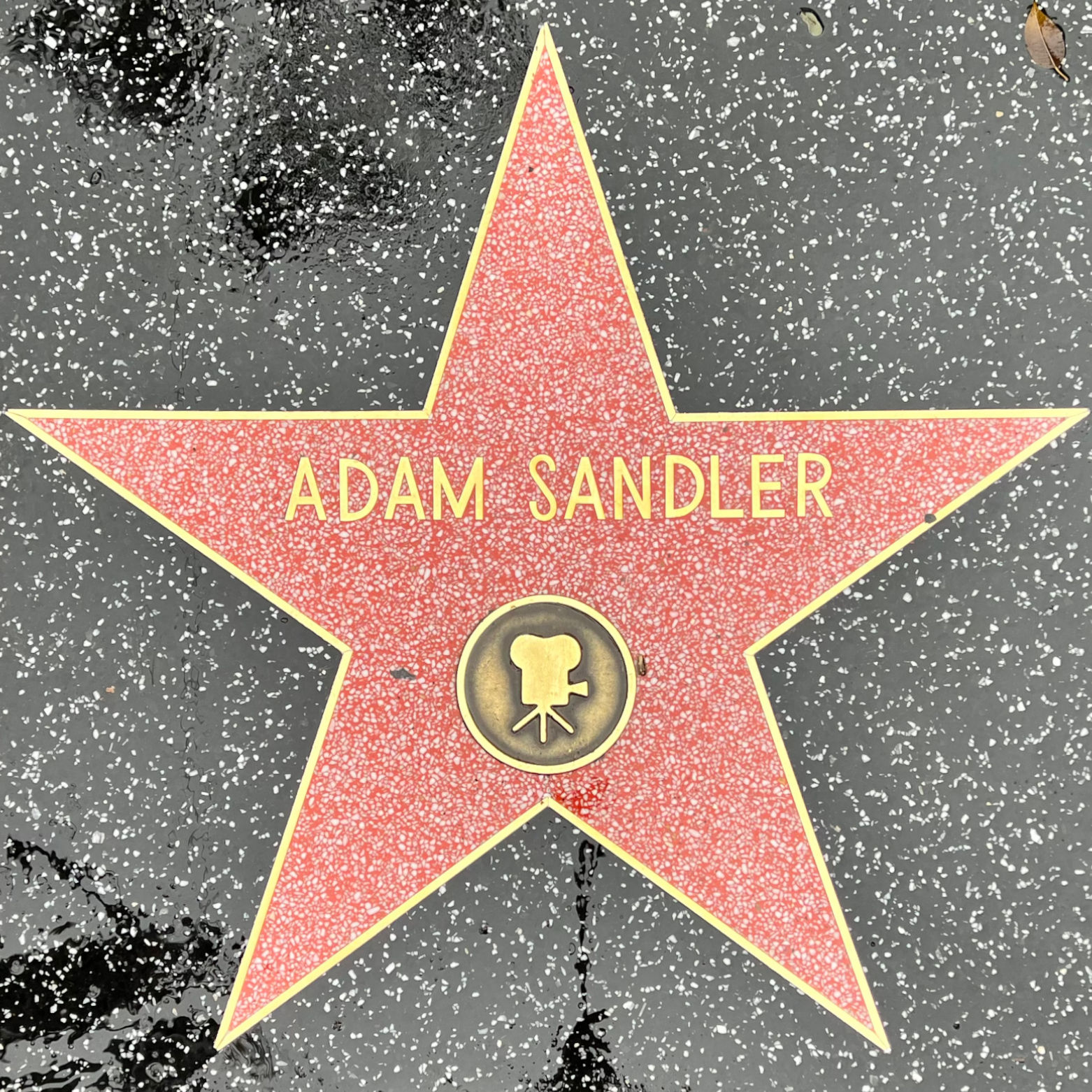 Adam Sandler's Motion Pictures Star